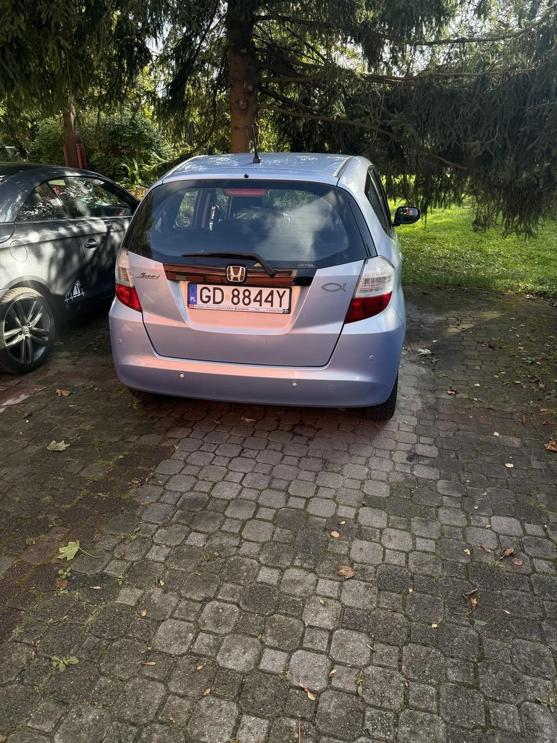 Nie będę już wspominać o lusterkach, ta stara bezczelna baba nie widzi nawet co się dzieje przed przednią szybą i prawie rozjechała mnie i psa.!