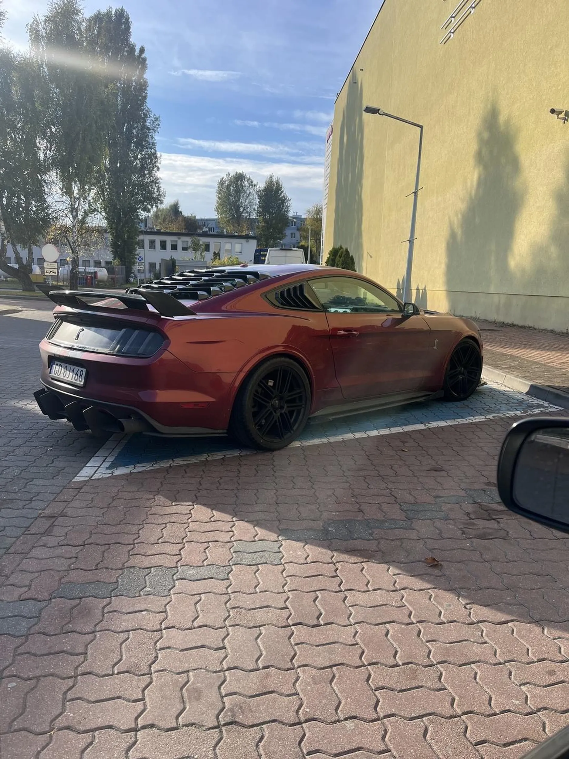 Nagle naprawdę niepełnosprawny na głowę