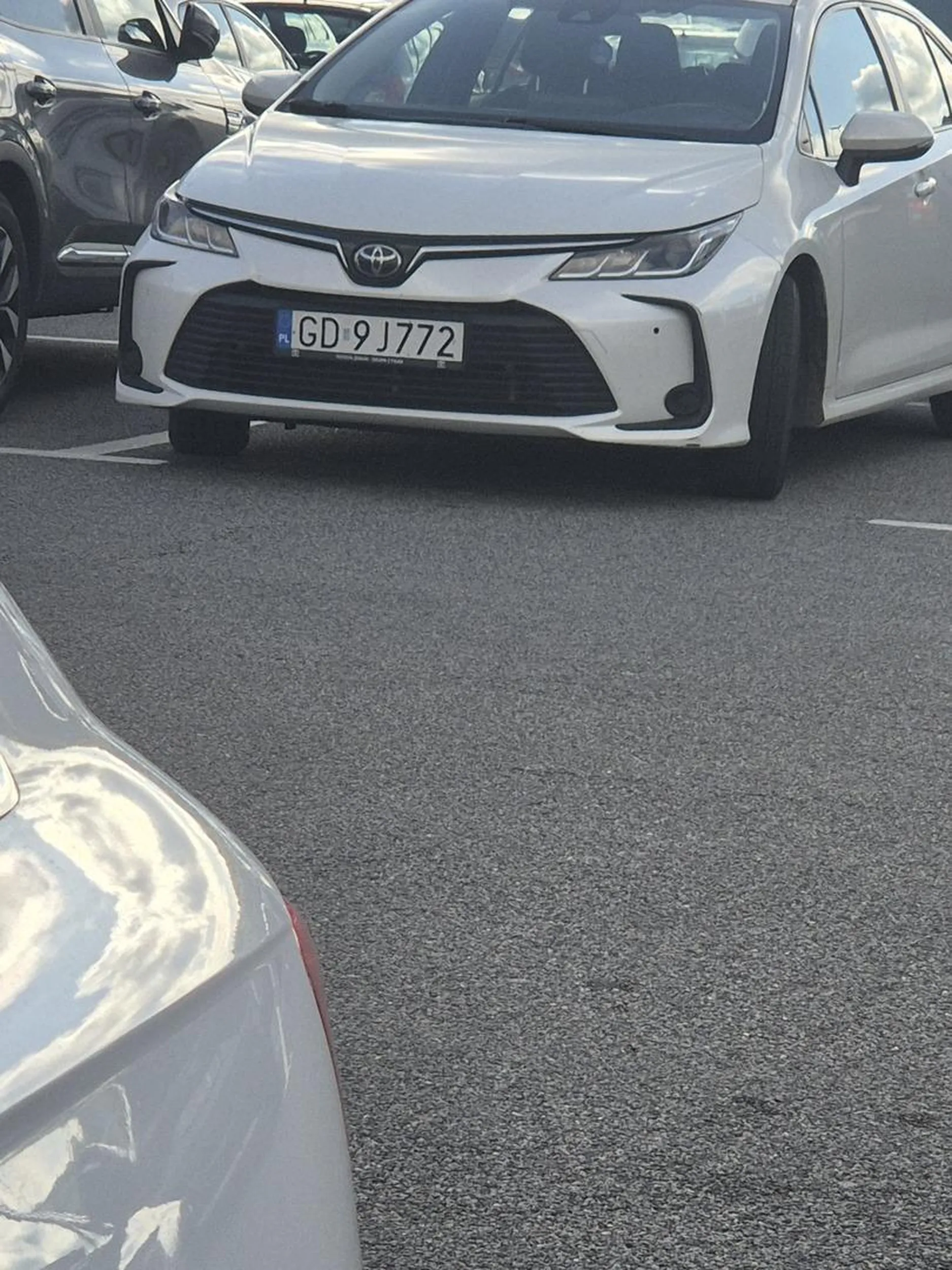 Wlacz myślenie bucu