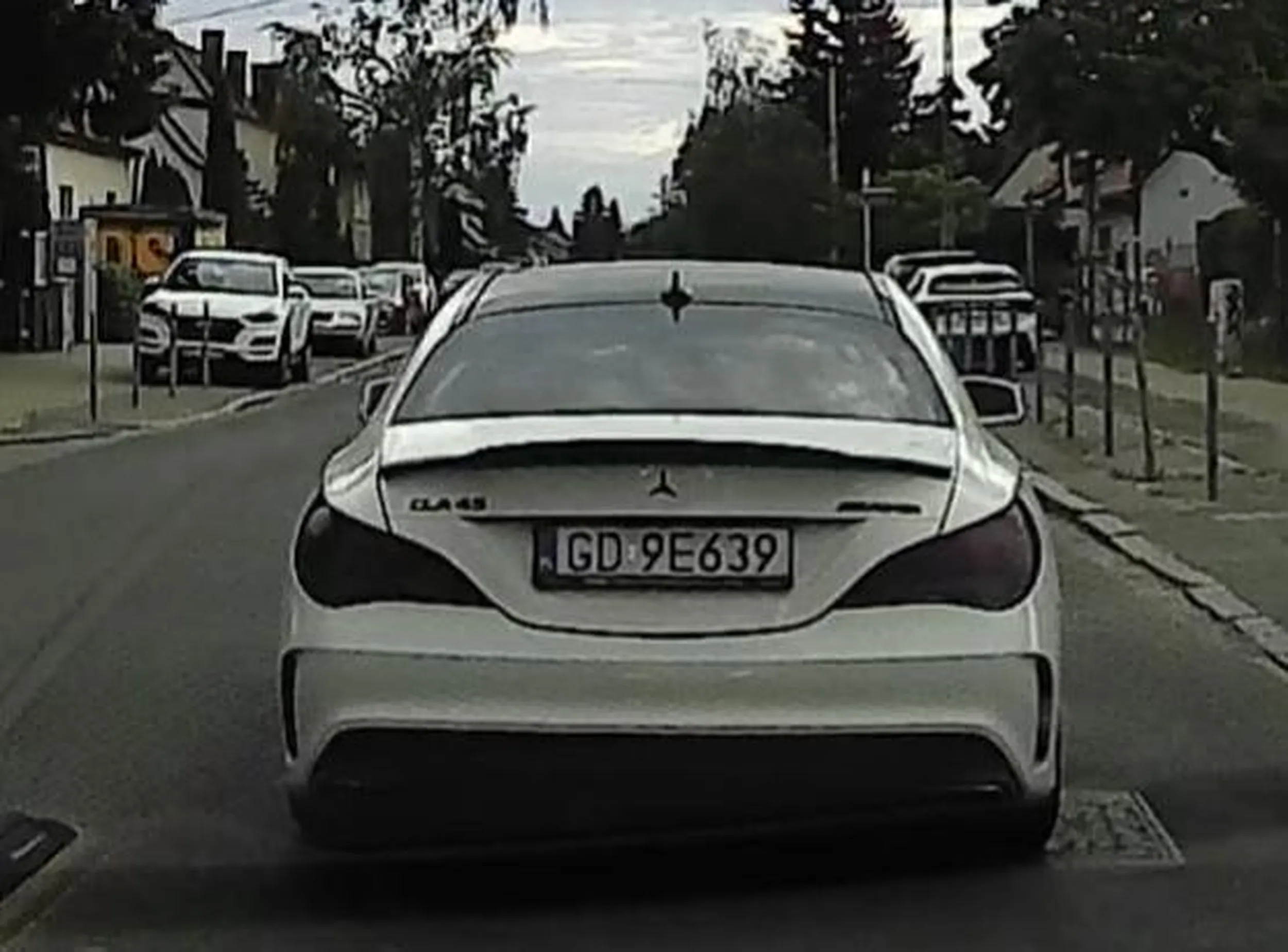 Psychol zatrzymuje się na środku drogi blokując przejazd.