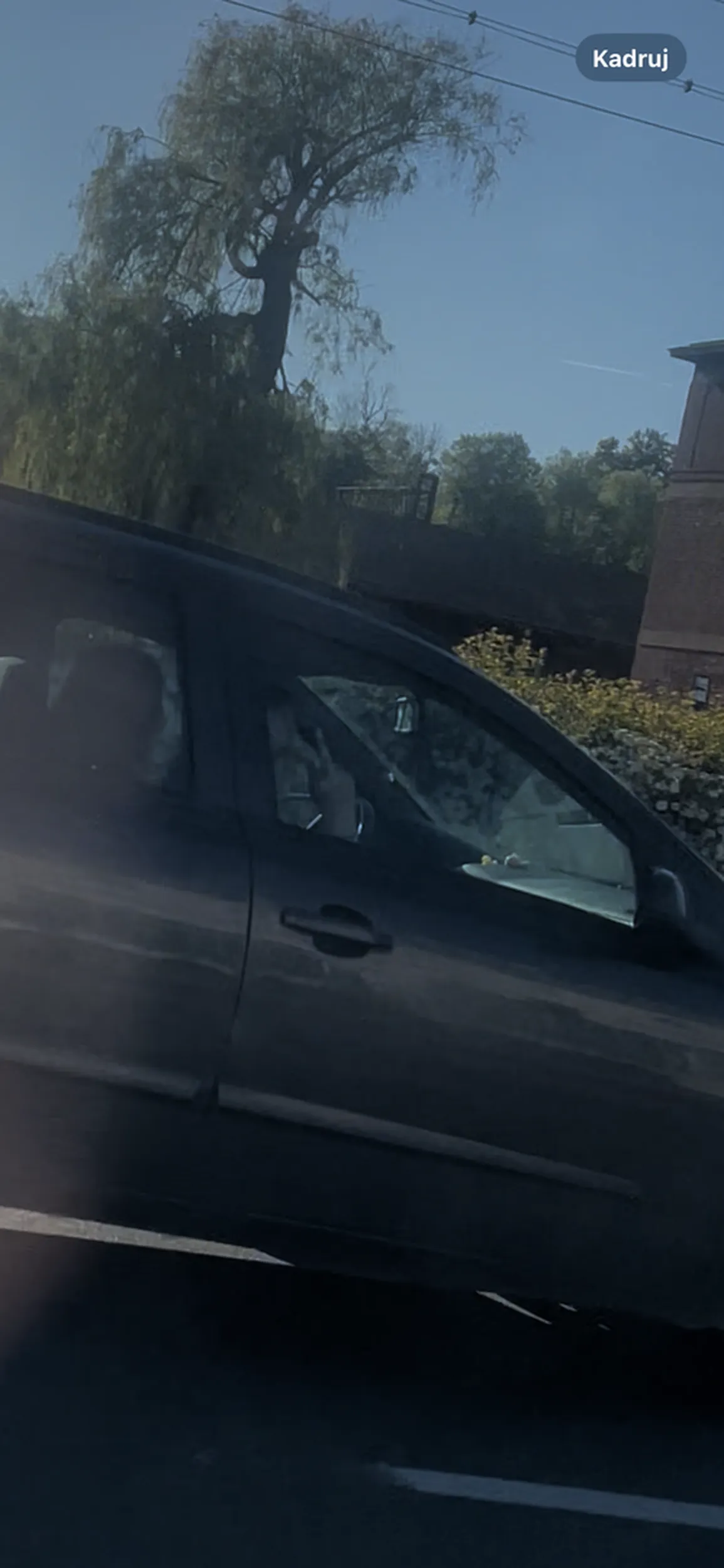 specjalnie próbuje spowodować kolizję