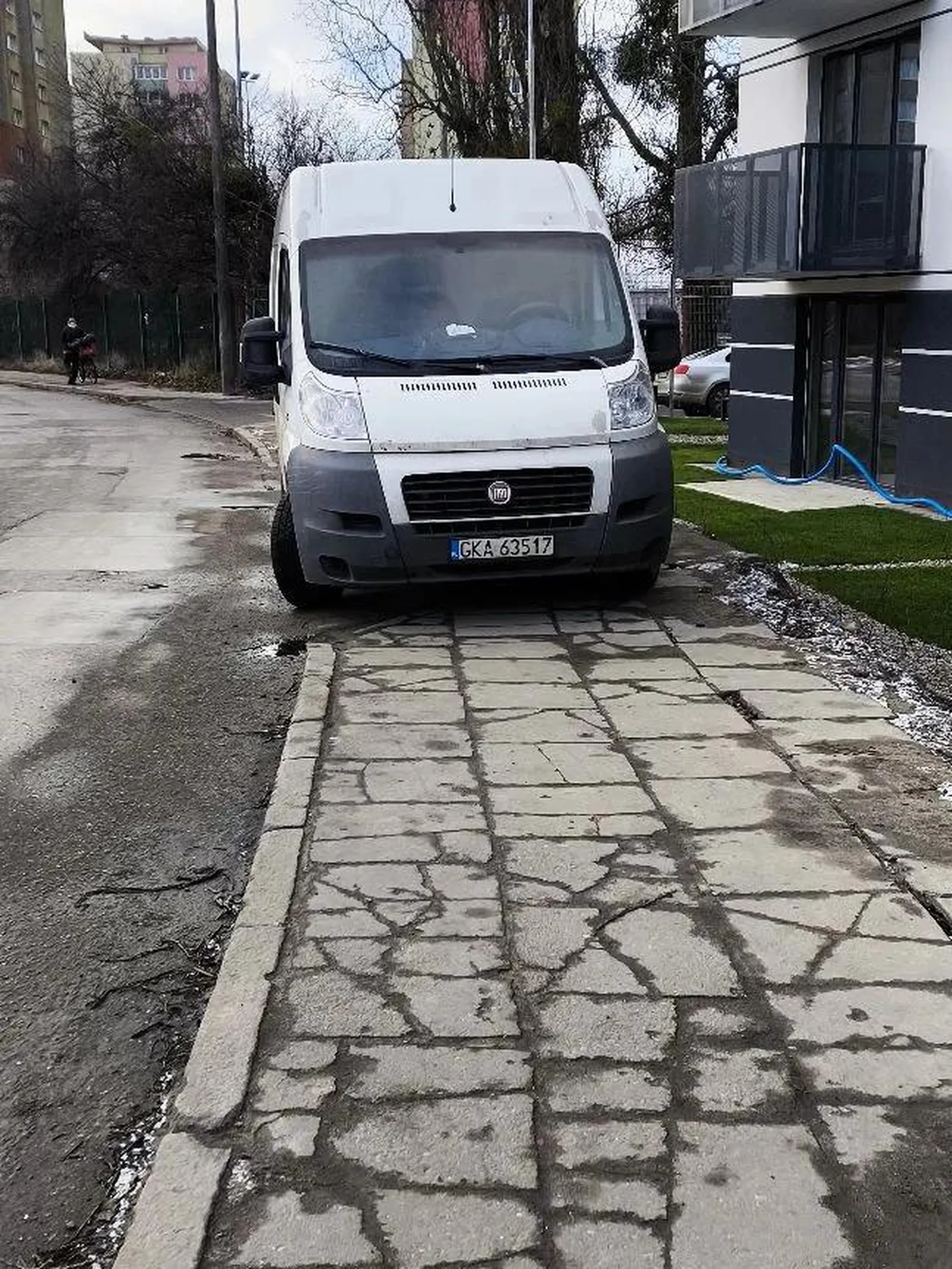 Kaszubski władca gdańskich chodników