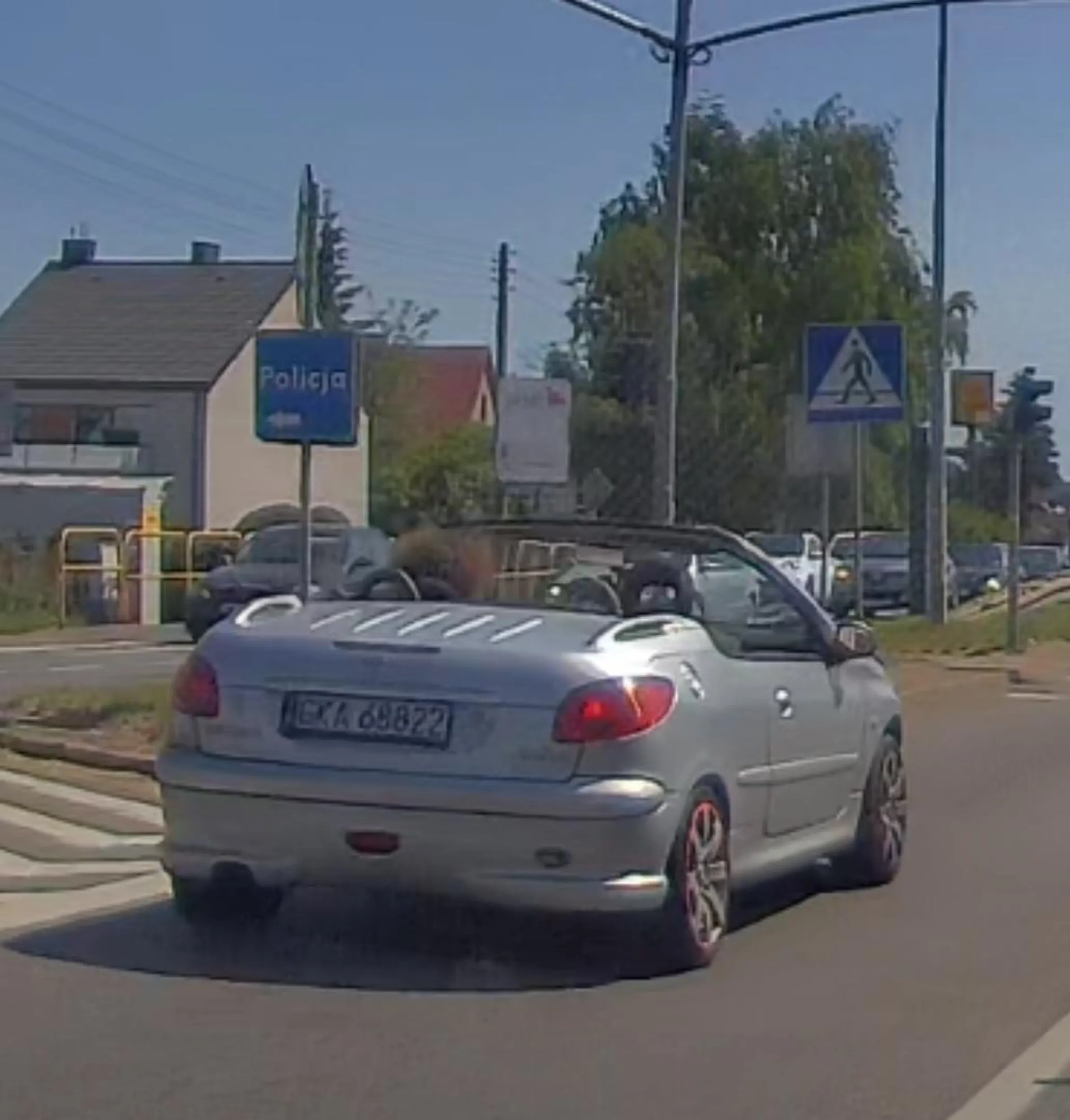 Kaszubski Sydney Polak ?