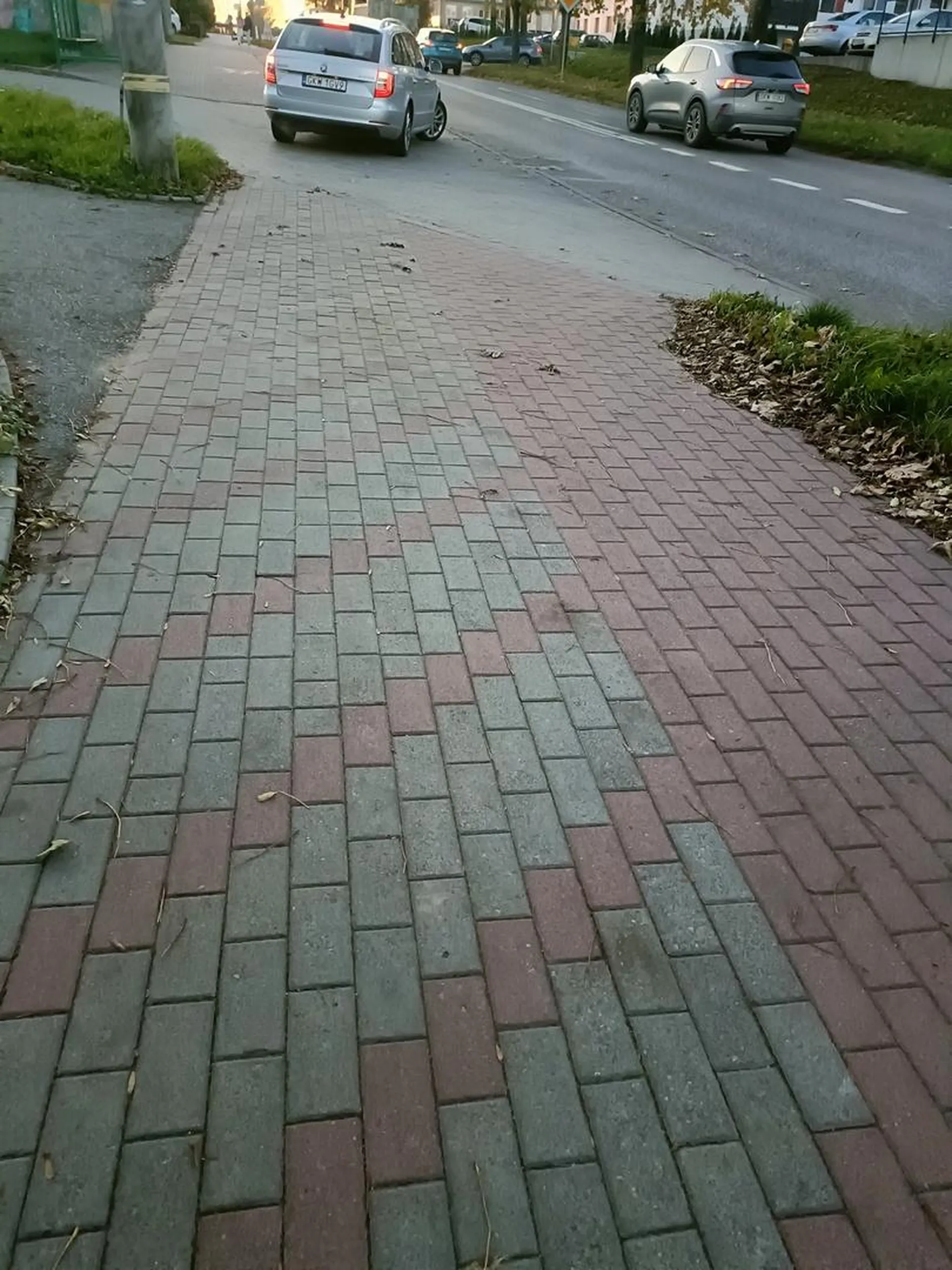 Koleś, jak już wjeżdżasz skodą na zakaz wjazdu, to chociaż wykręć na ulicę a nie się pchasz po chodniku