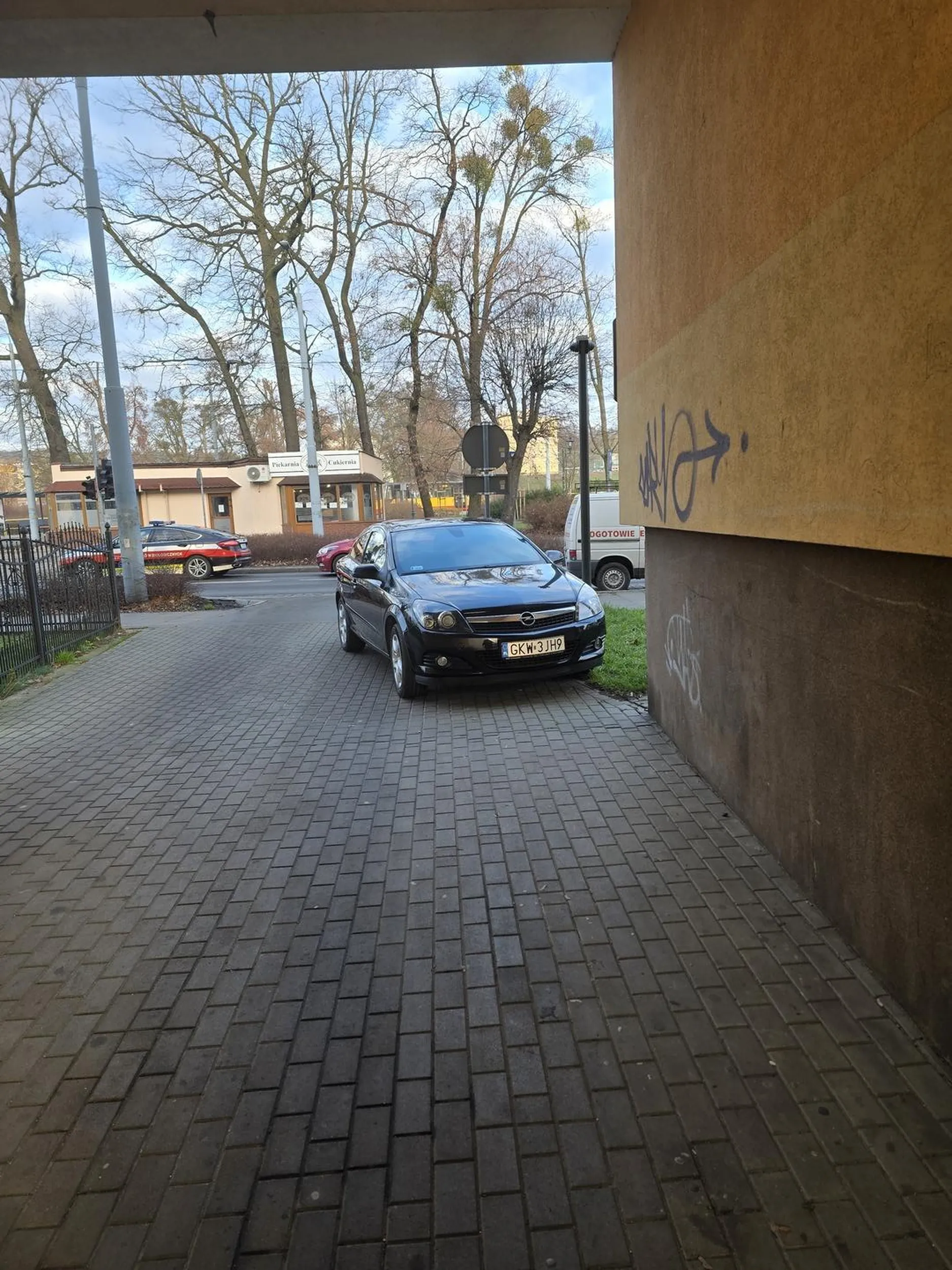 Wszystko fajnie ale to nie postój dla Opli. Nie blokuj ludziom wyjazdu kwidzyniaku za dyche