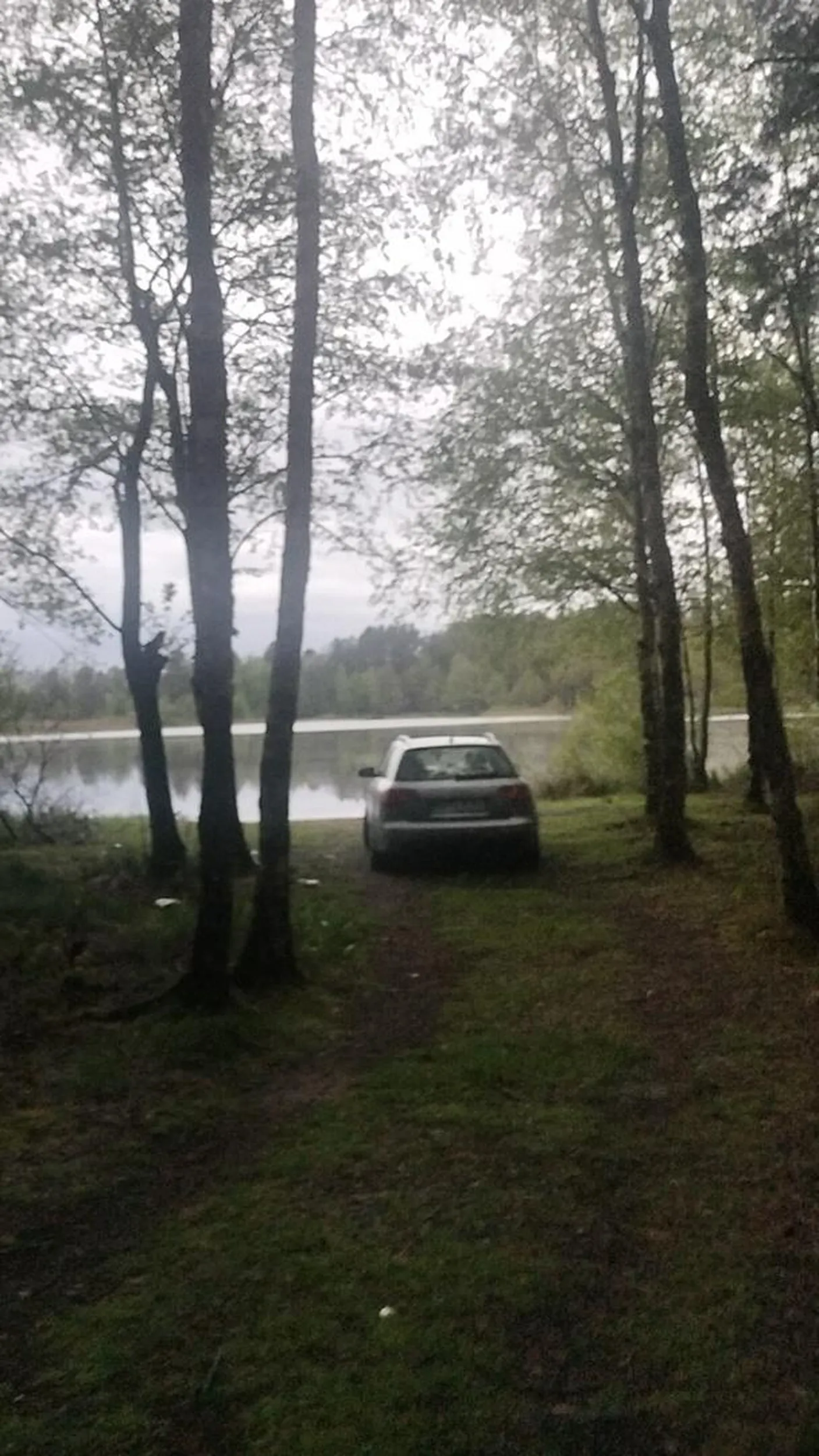 Kierowca mógłby jeździć trochę szybciej ?