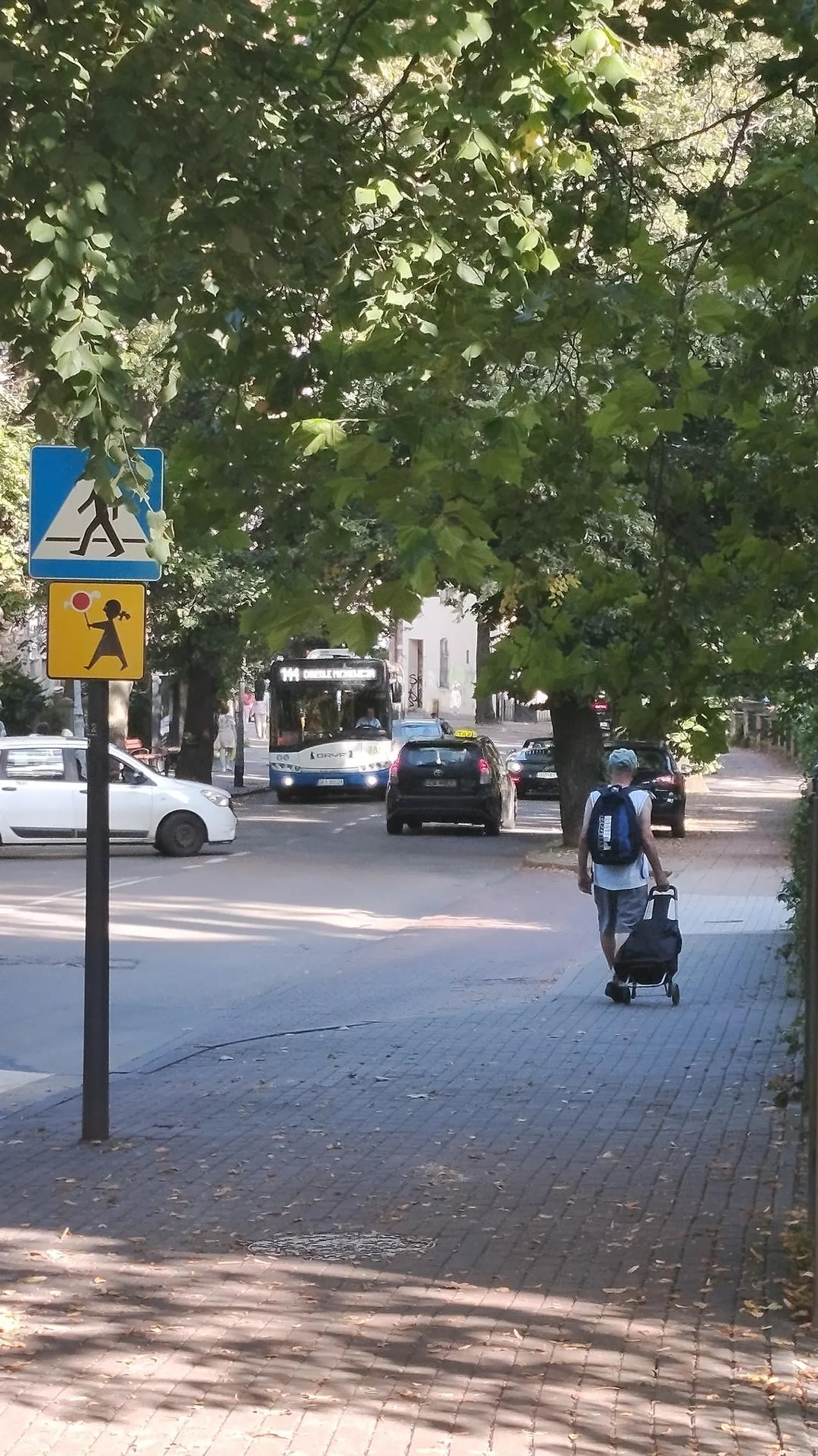 Prowadzi porsche I w trakcie pisze smsy...