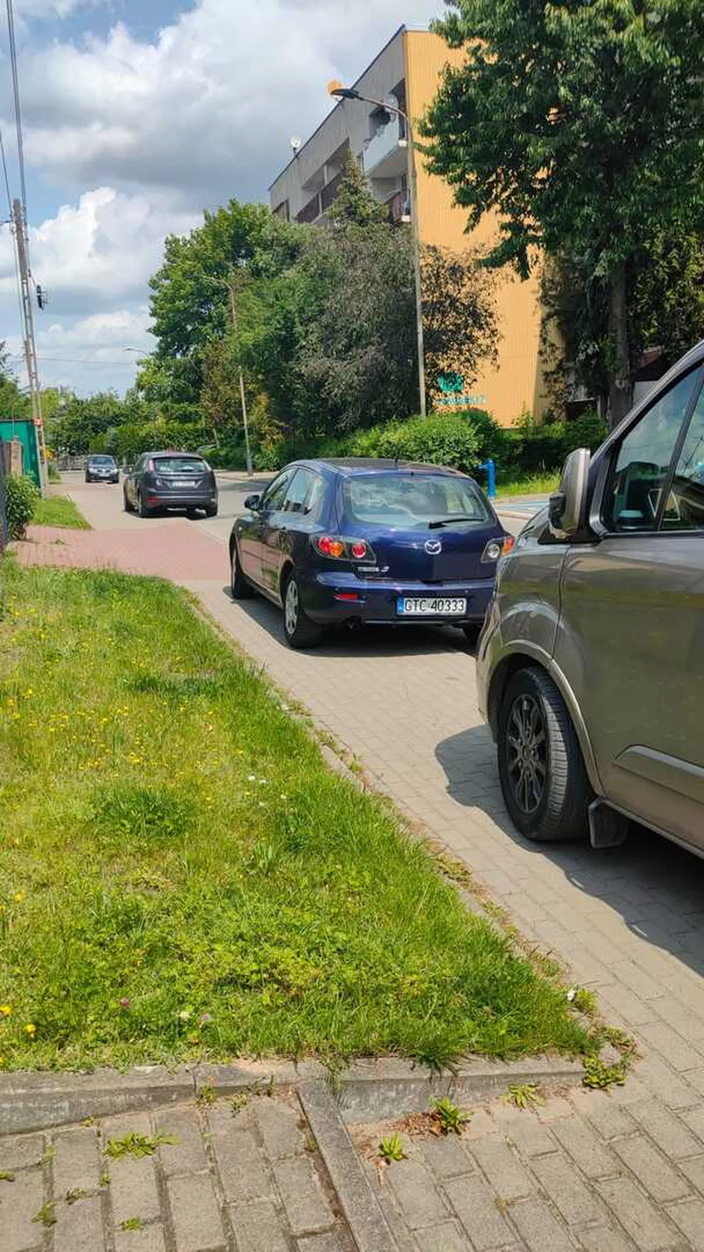 Parkuje jak ostatni egoista