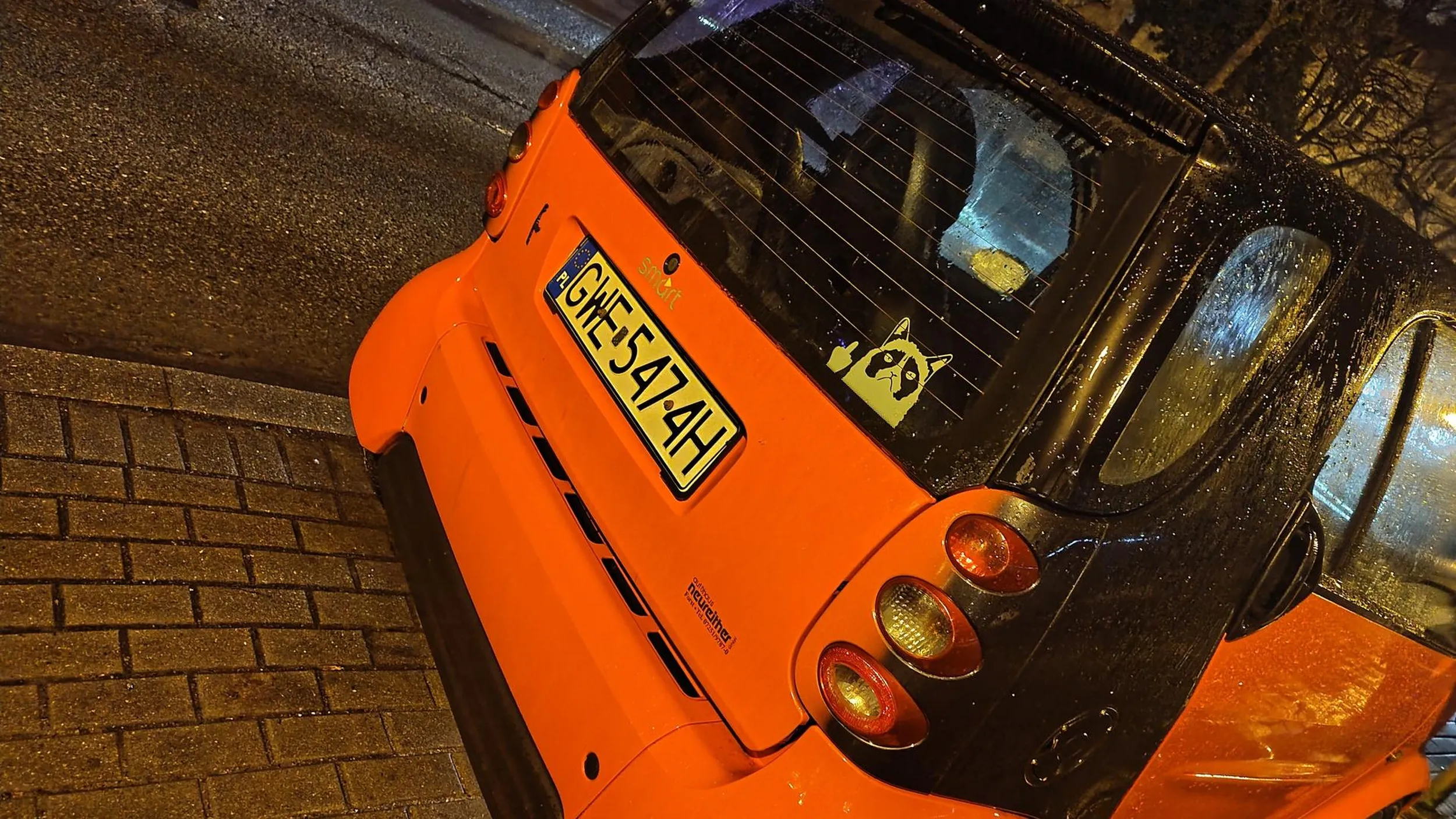 Brzydka ta naklejka z kotem pokazującym środkowy palec...