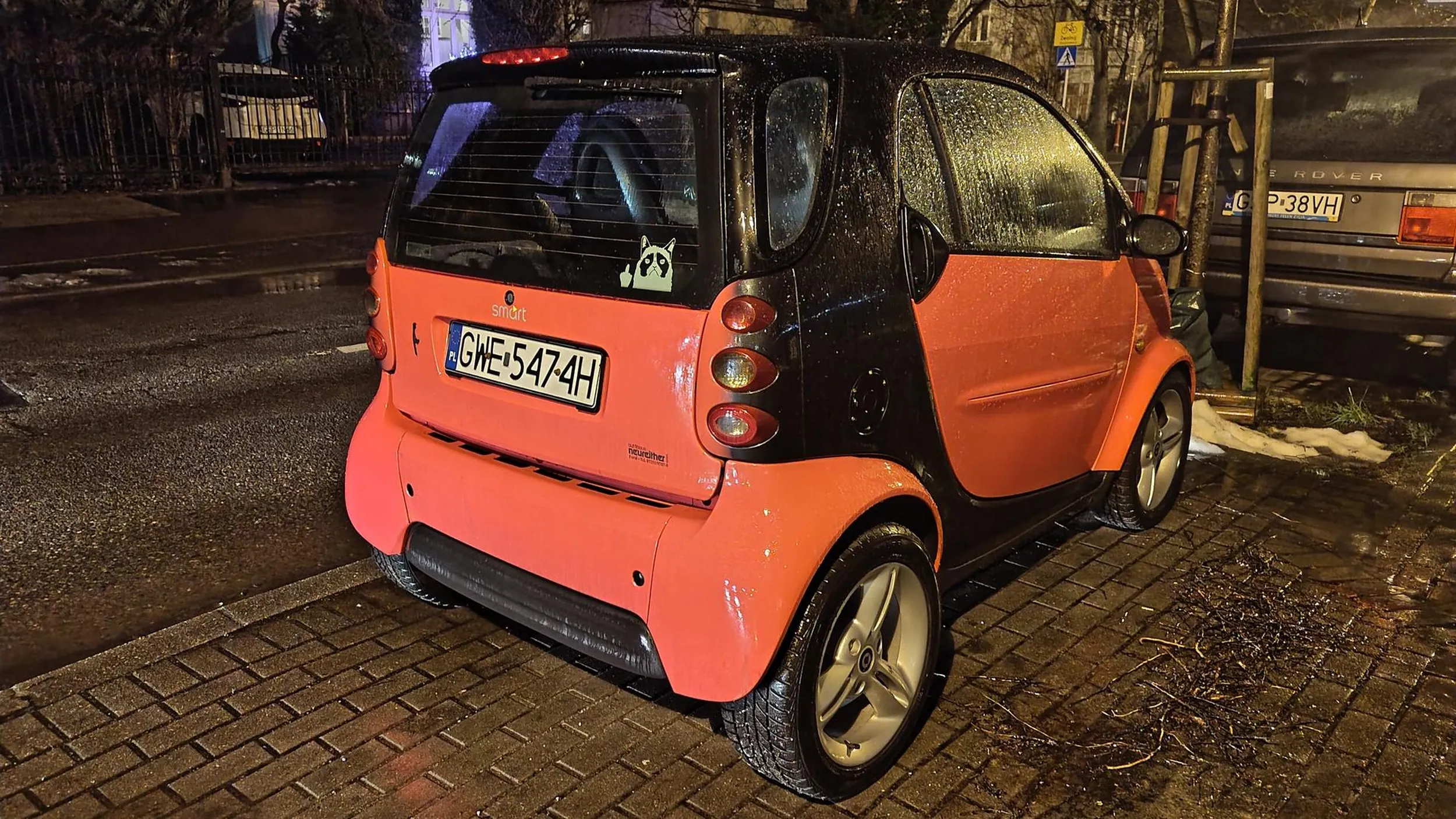 Brzydka ta naklejka z kotem pokazującym środkowy palec...