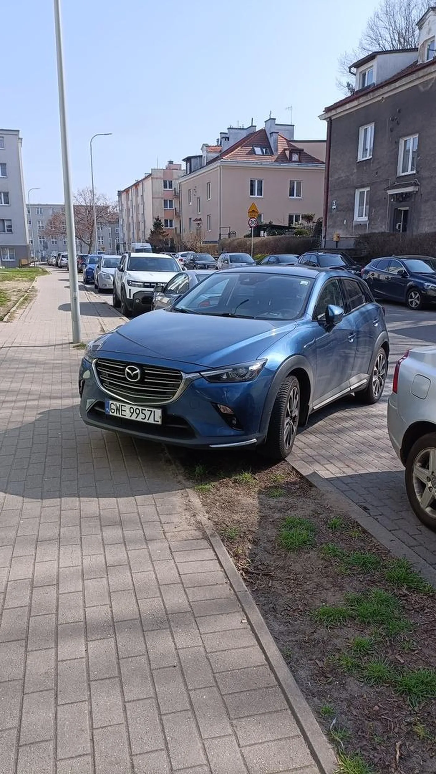 Naucz się parkować buraku