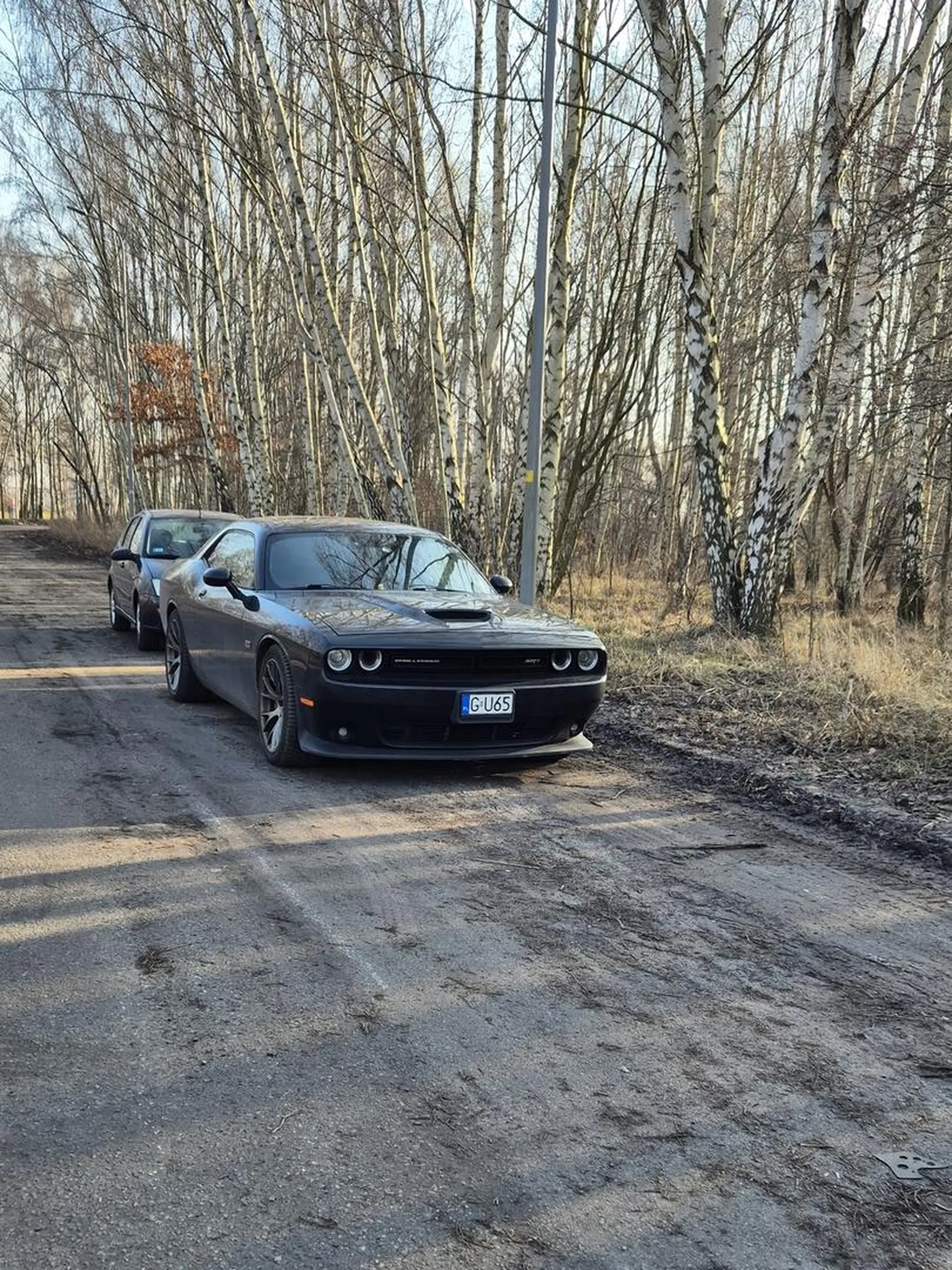 Kolejny Doge Challenger SRT z Copart...