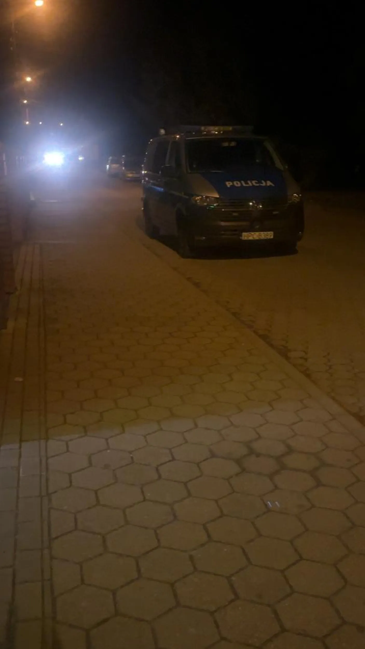 parkowanie na skrzyżowaniu oraz zastawienie bramy, należy się karny kutas 8====D