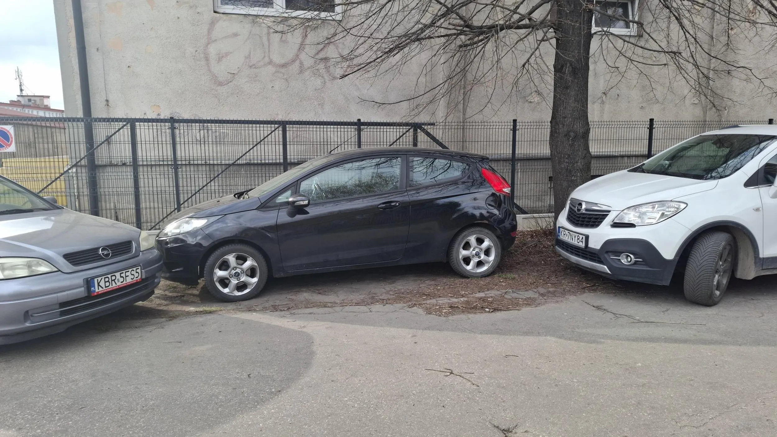 Mistrz parkowania. Zero wyobraźni. Myślenie nie kosztuje!