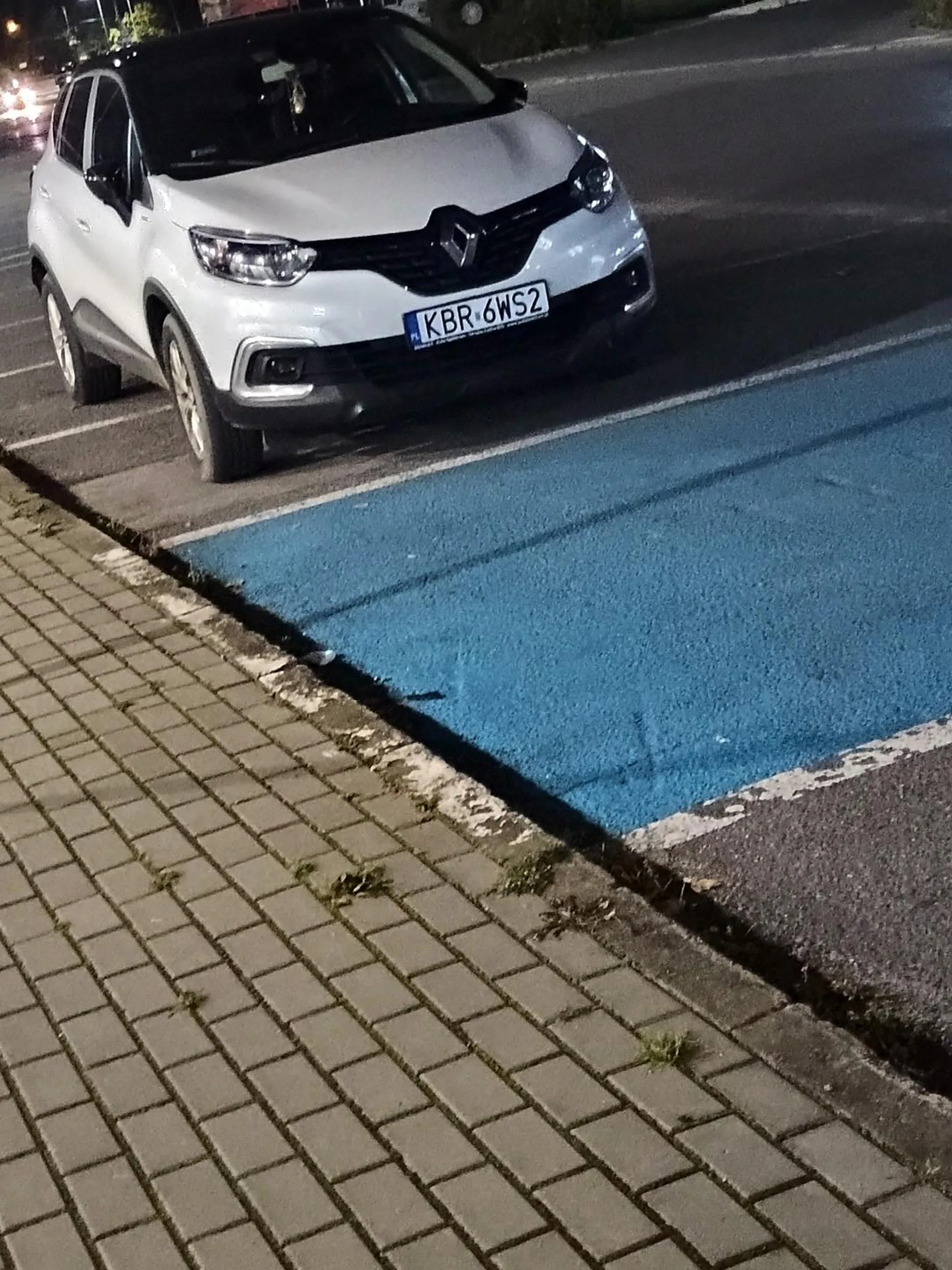 jako wzorowy donosiciel chce zgłosić odbytnice za kółkiem