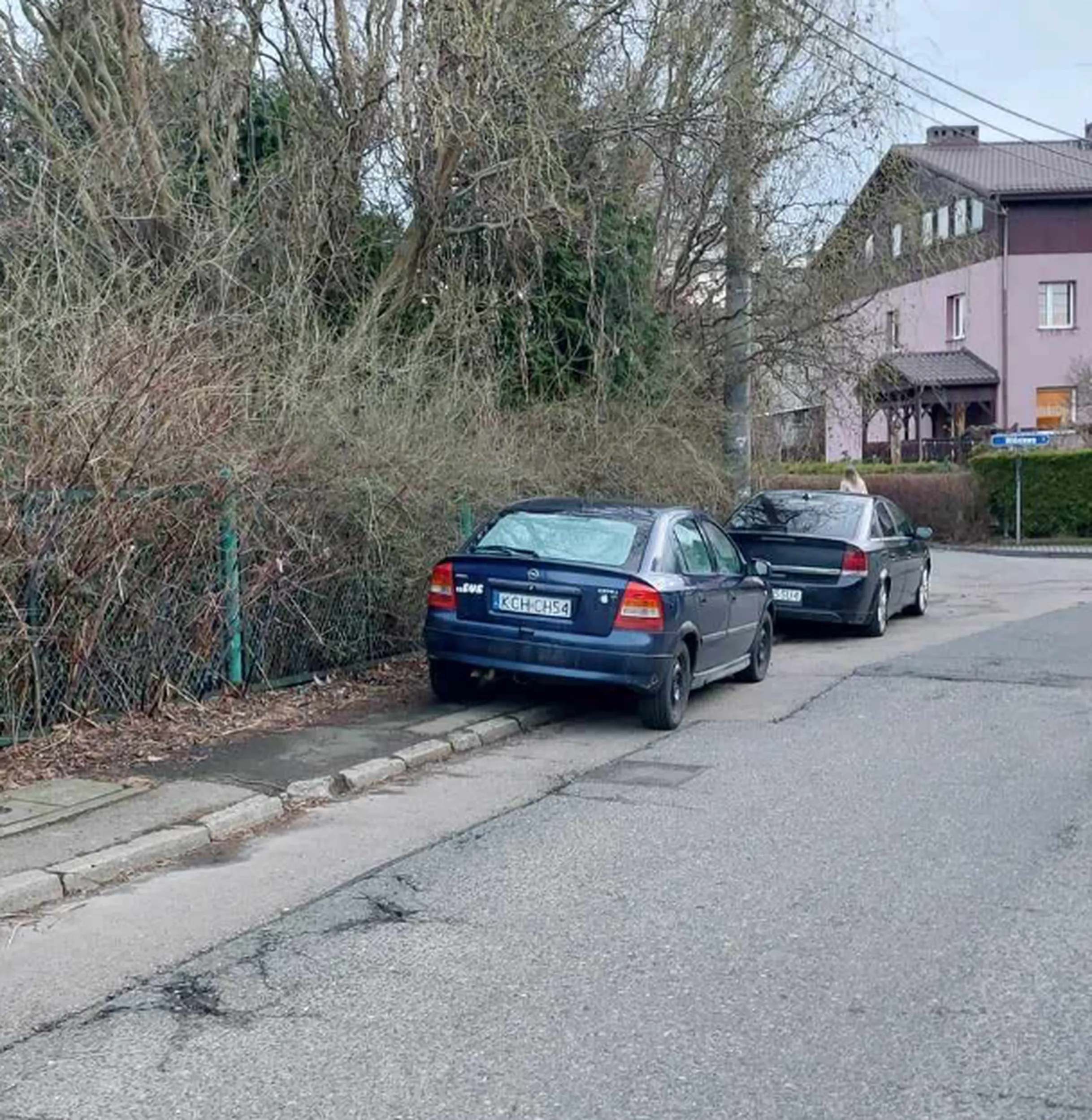 Blokowanie chodnika bezmyślnym parkowaniem. Pieszym zostawia 10 cm i krzaki.