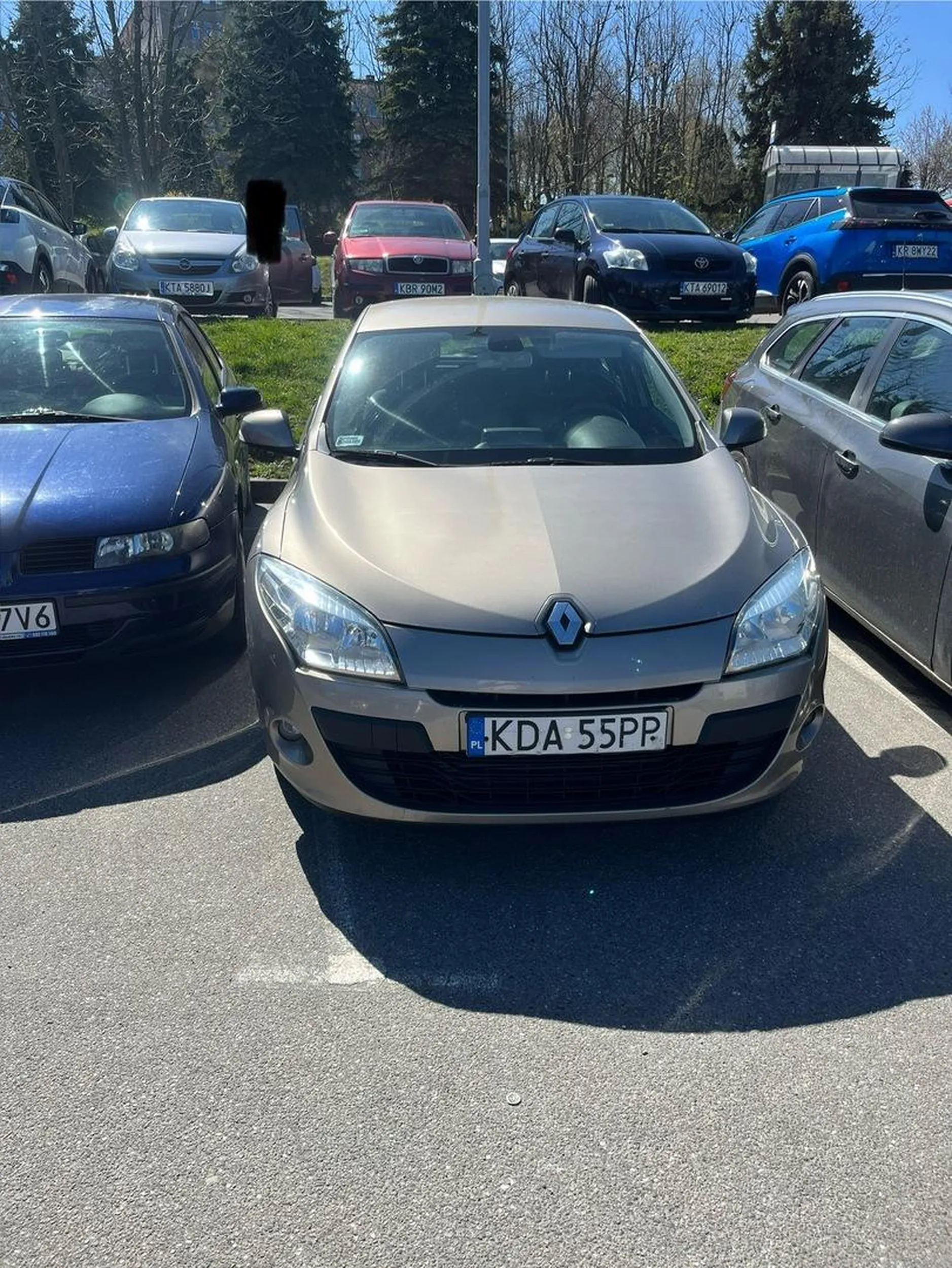 Cipa na masce i parkuje jak cipa