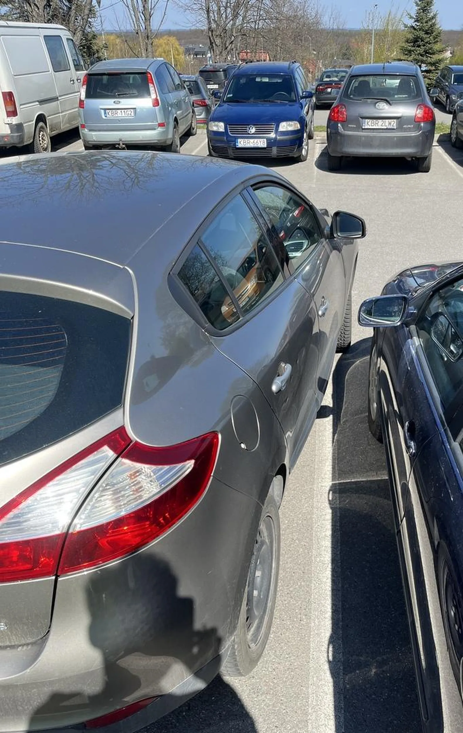 Cipa na masce i parkuje jak cipa