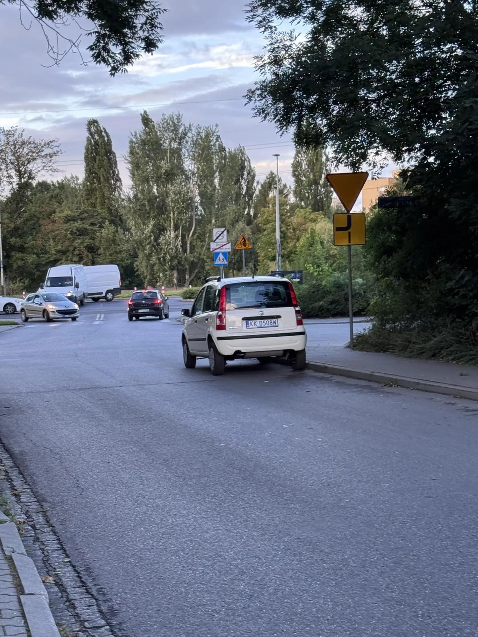 Skrzyżowanie to super miejsce na zaparkowanie auta i pójście do biedronki pod którą był cały pusty parking. Kierujący powinien zacząć używać mózgu :)