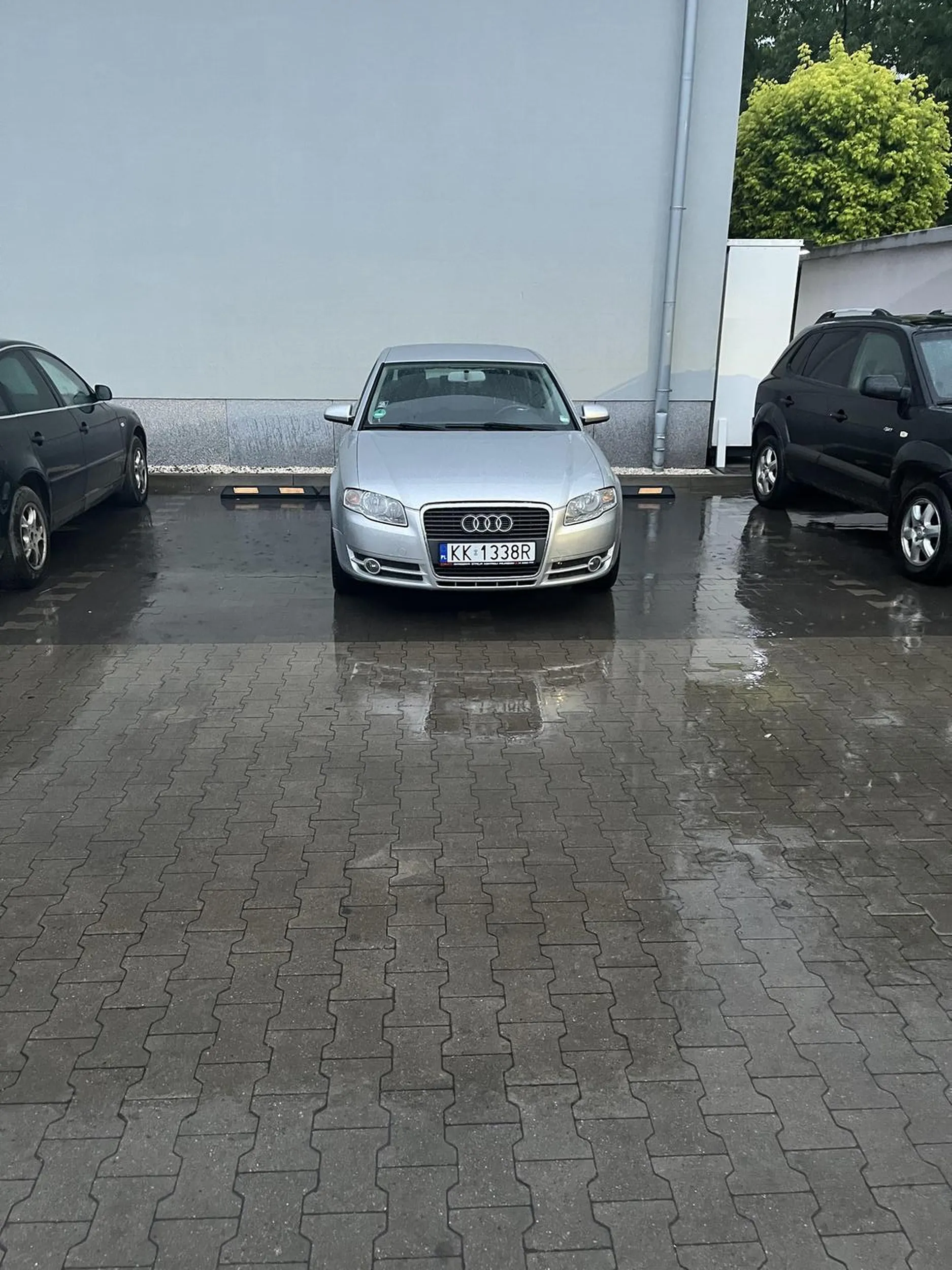 Stanęło se panisko w Audi na dwóch miejscach