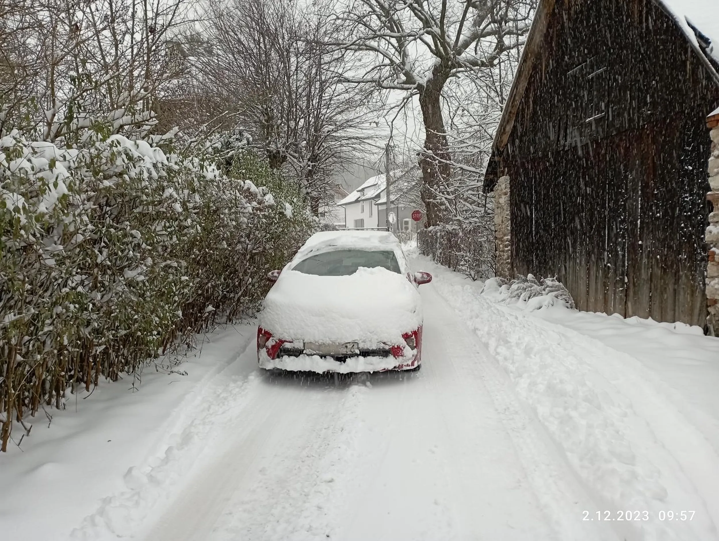 Niektórym śnieg nie przeszkadza.