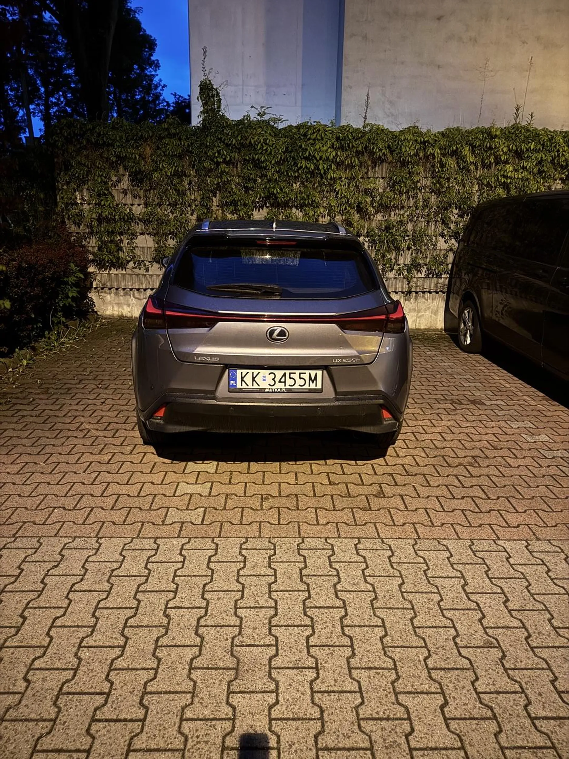 Z seri geniusze parkowania