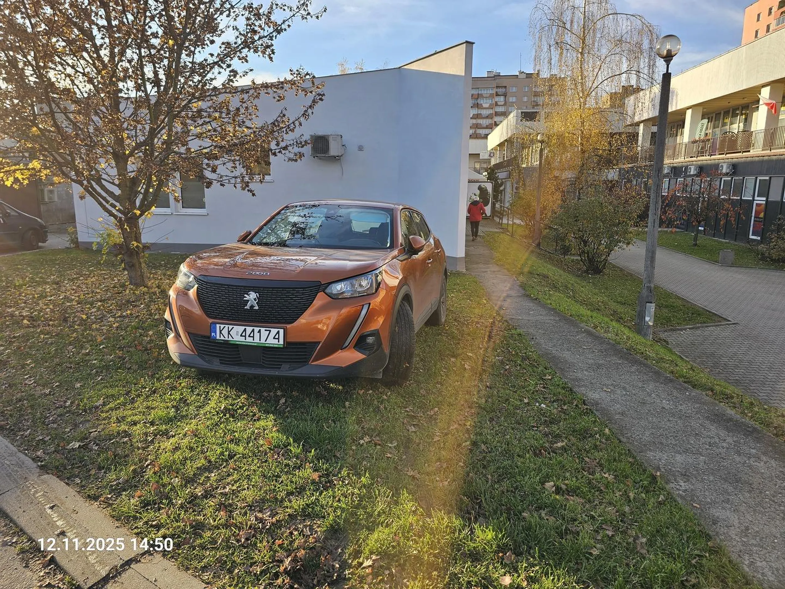 TRAWA to nie parking