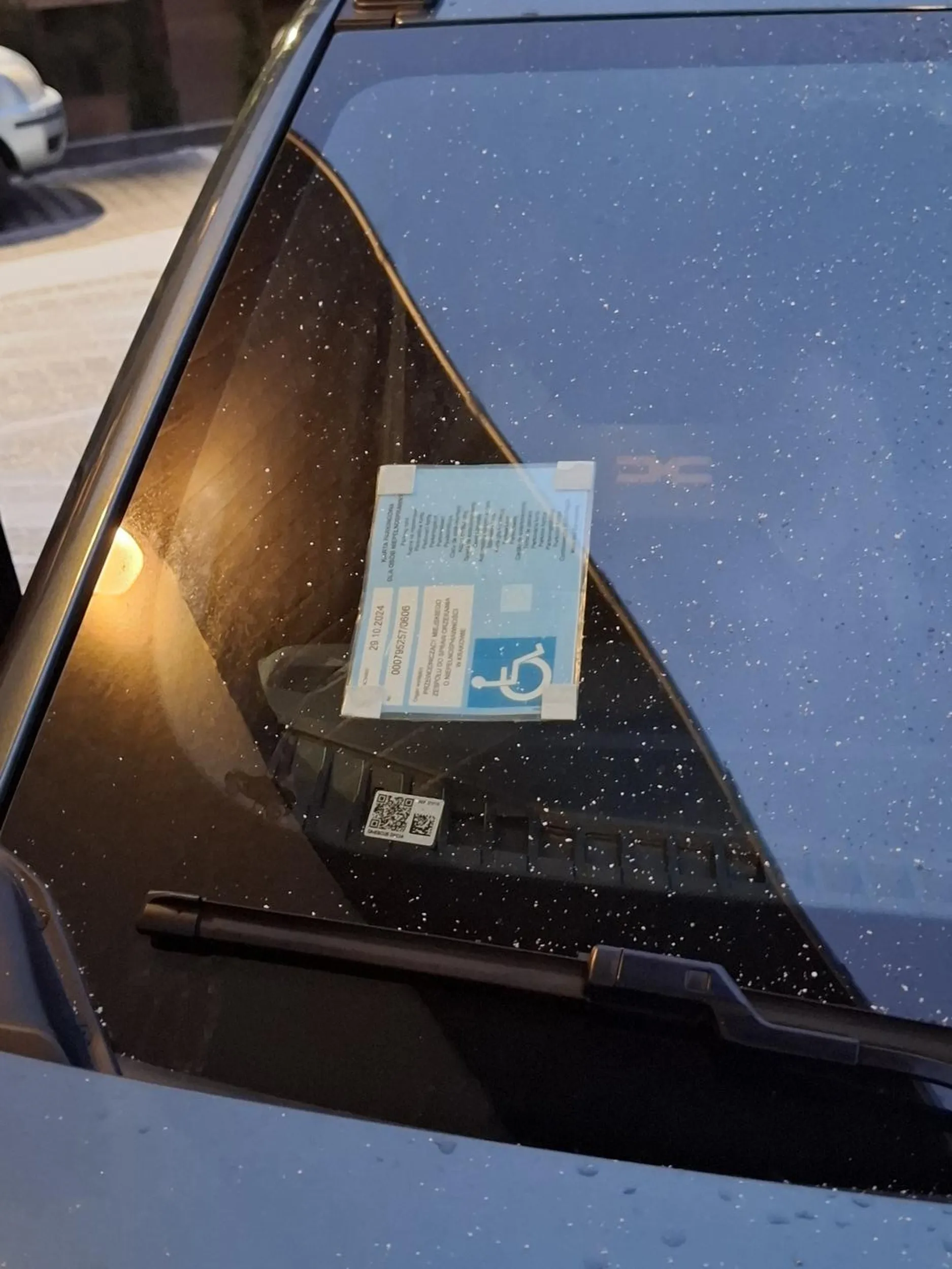 29.10.2024 000795257/0606 Zwykły chxj. Zablokował dostęp do domofonu. Zasrany inwalida umysłowy.