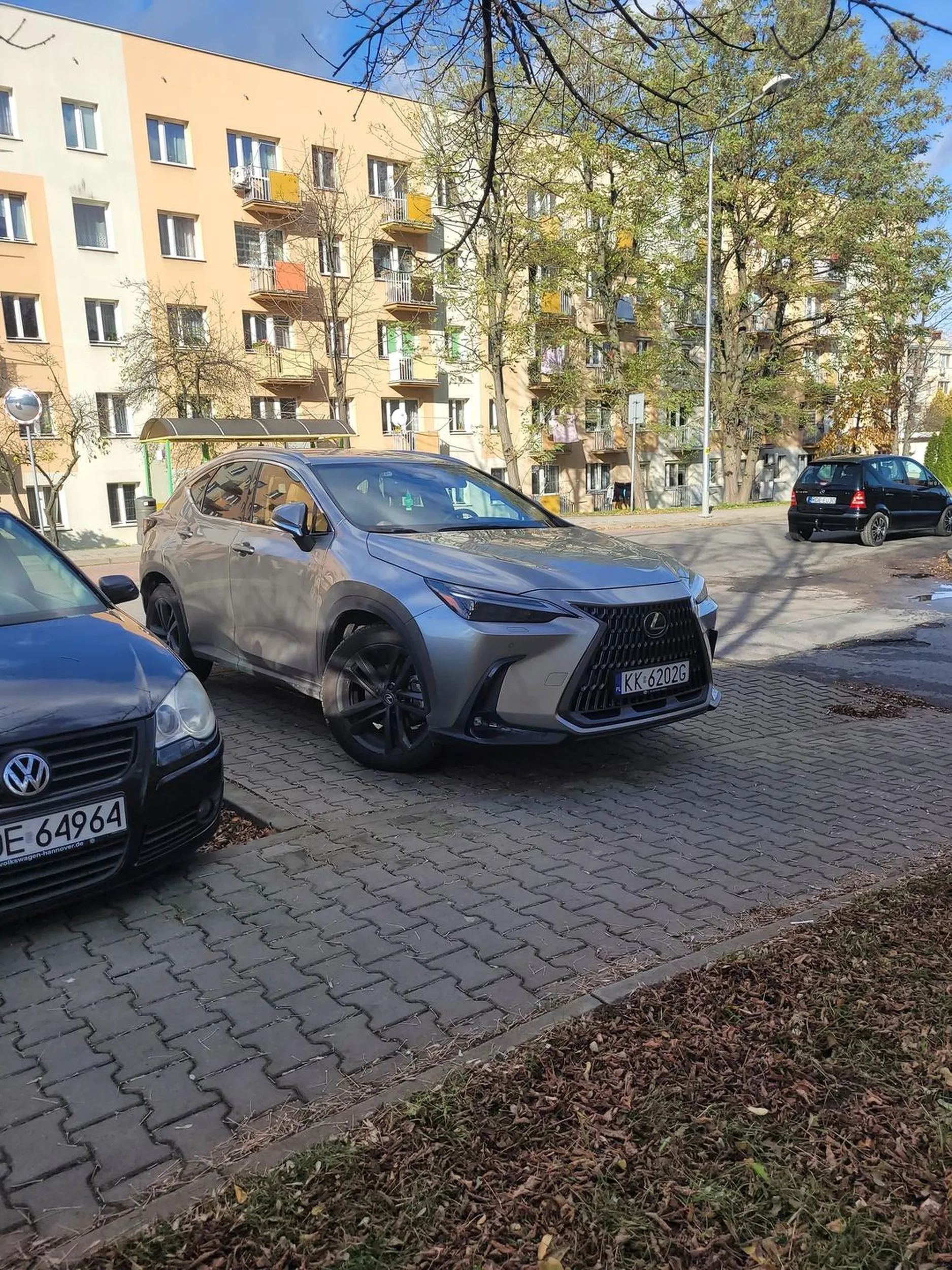 zawsze parkuje na chodniku nawet gdy są wolne miejsca, nie można wyjechać z podwórka, nic nie widać