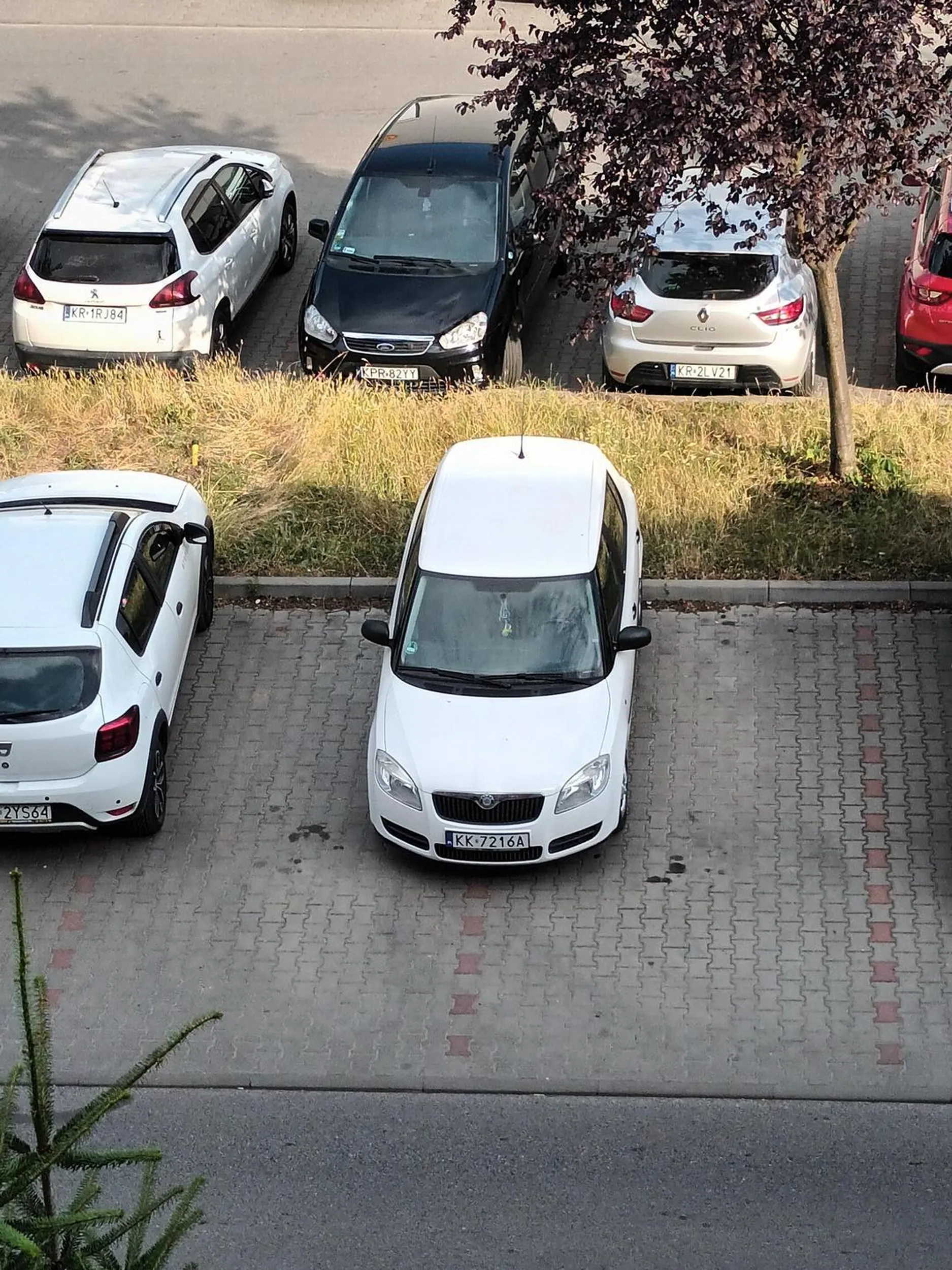 Parkowanie Pierwsza Klasa !! Zero szacunku na parkingu, polecam przesiąść się na rower