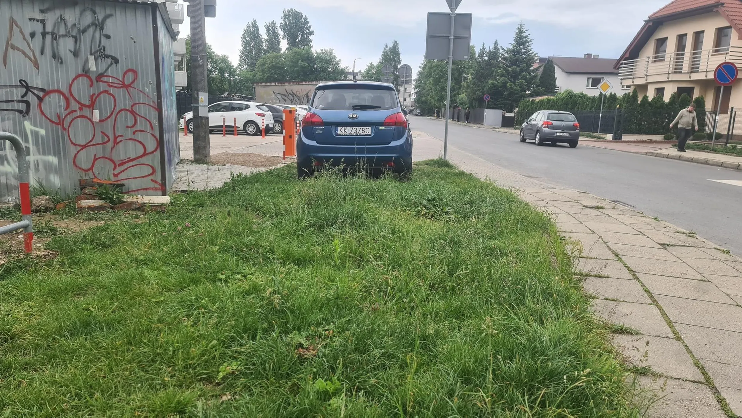 Parkowanie na zieleni