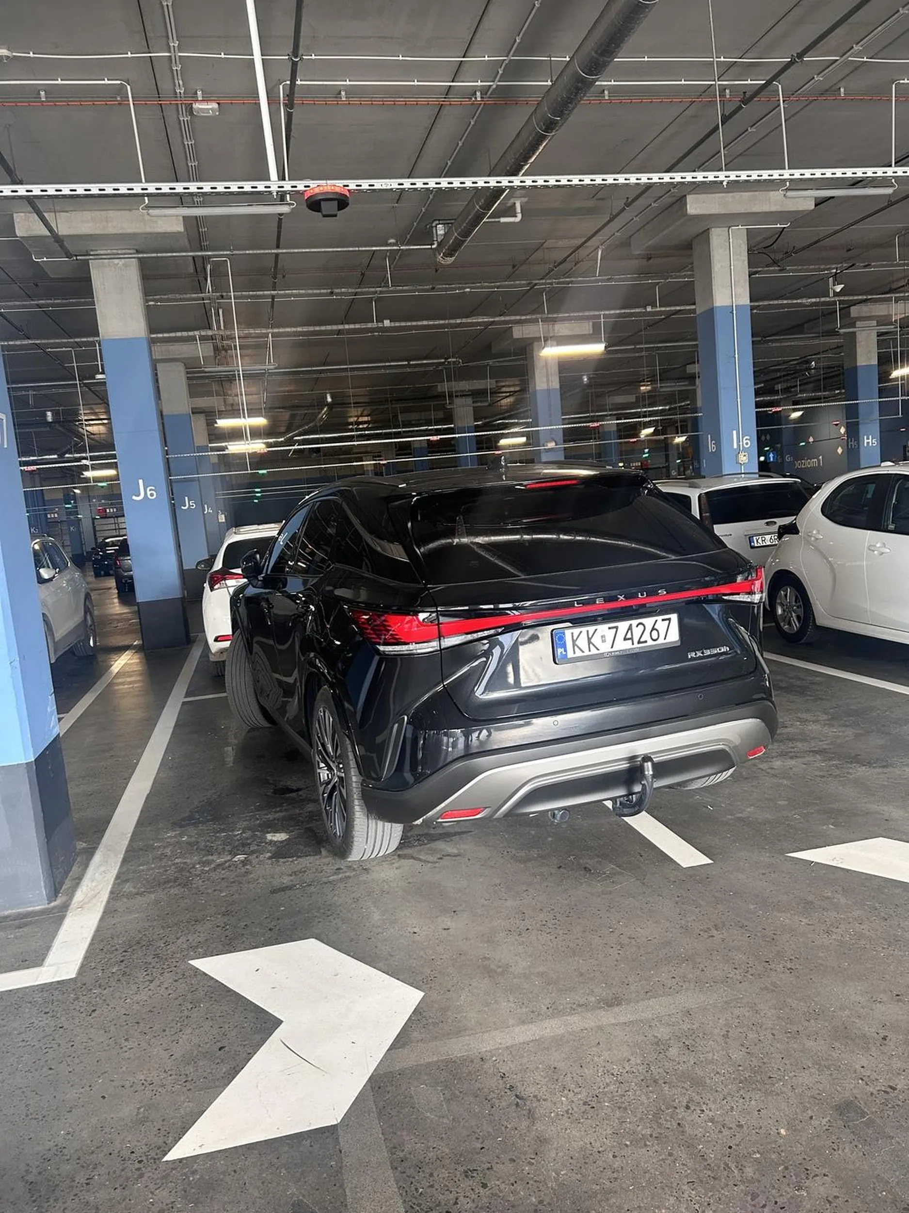 kolega wygral prawojazdy w cheetosach, zdjecie mowi samo za siebie.