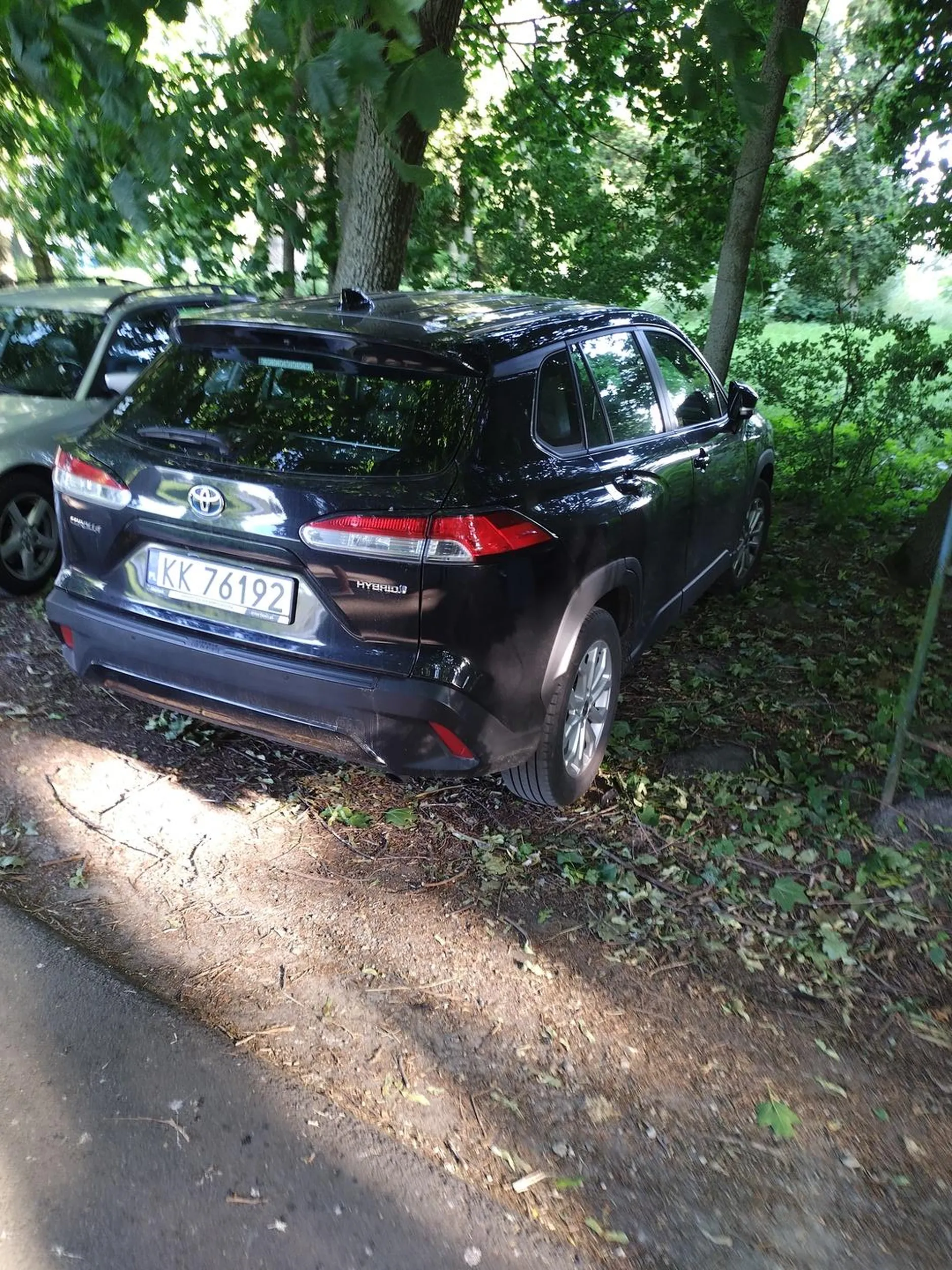 Spacer na łonie natury, ale przejść z parkingu już nie potrafi.... Lepiej zaparkować na trawniku. Co za buraki rasowe!!!