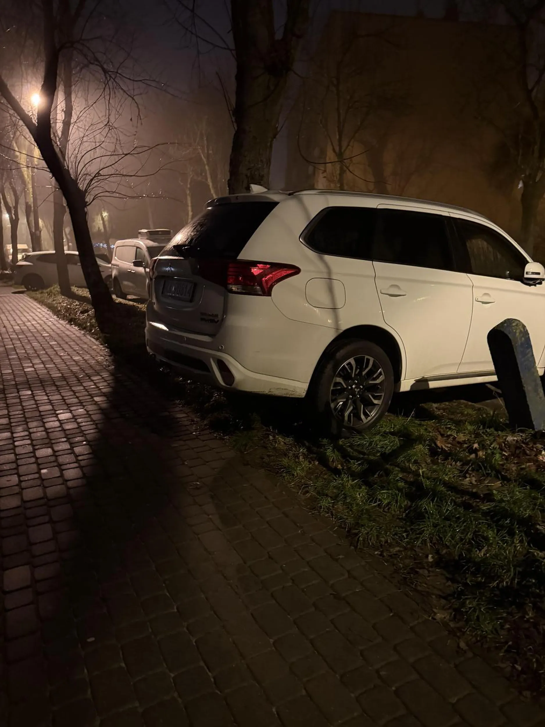 Osobnik chyba zw wsi dopiero co wrócił, pewnie orał pole i łajno rozrzucał. Jak widać, ma we krwi oranie,przy okazji nielicznych trawników, jakie występują w Wieliczce. Chyba za bardzo wziął do siebie starodawne powiedzenie: „Jak się popieści, to się wszystko zmieści”