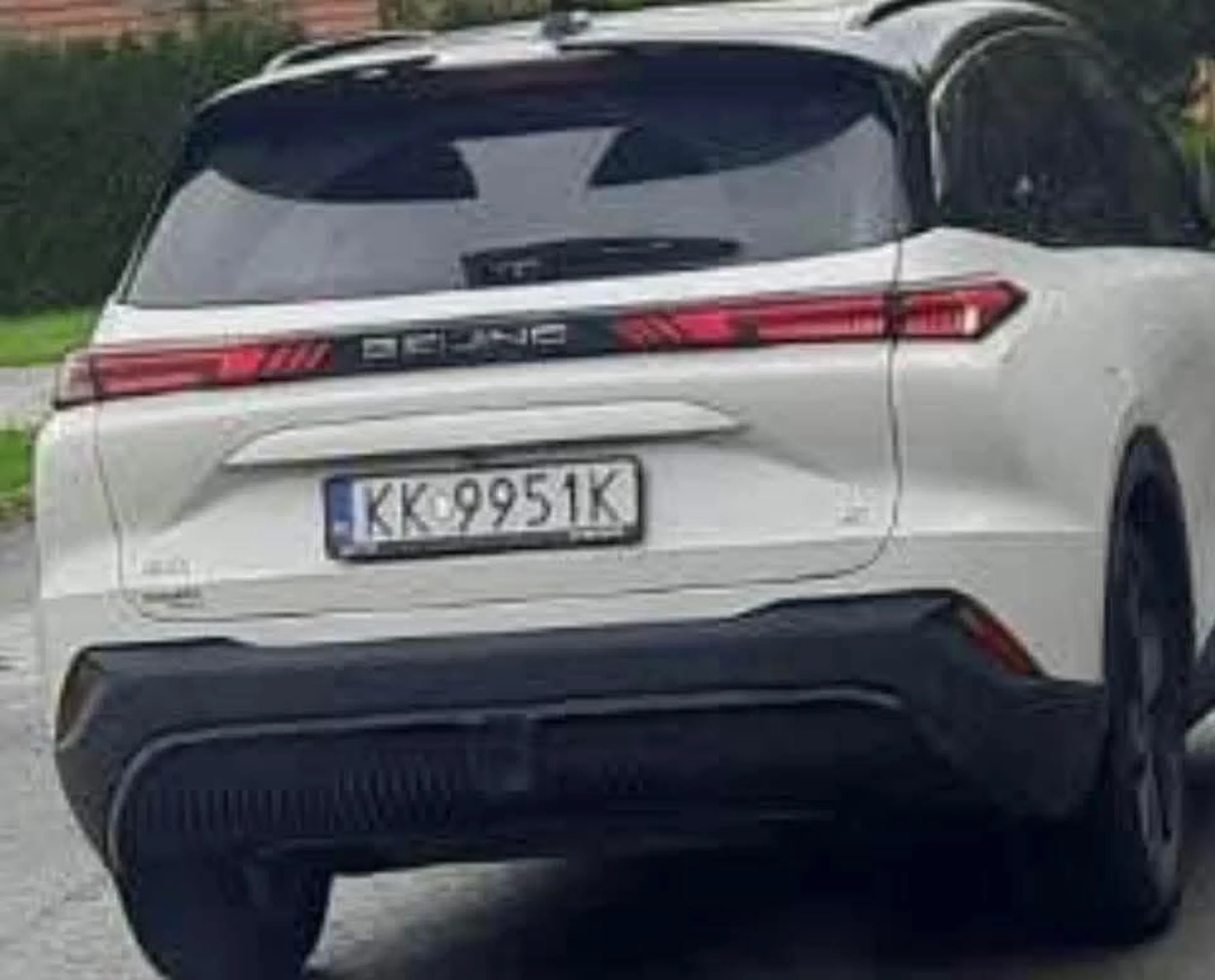 8.10.2025 wyrzucił kota w reklamówce z jadącego samochodu