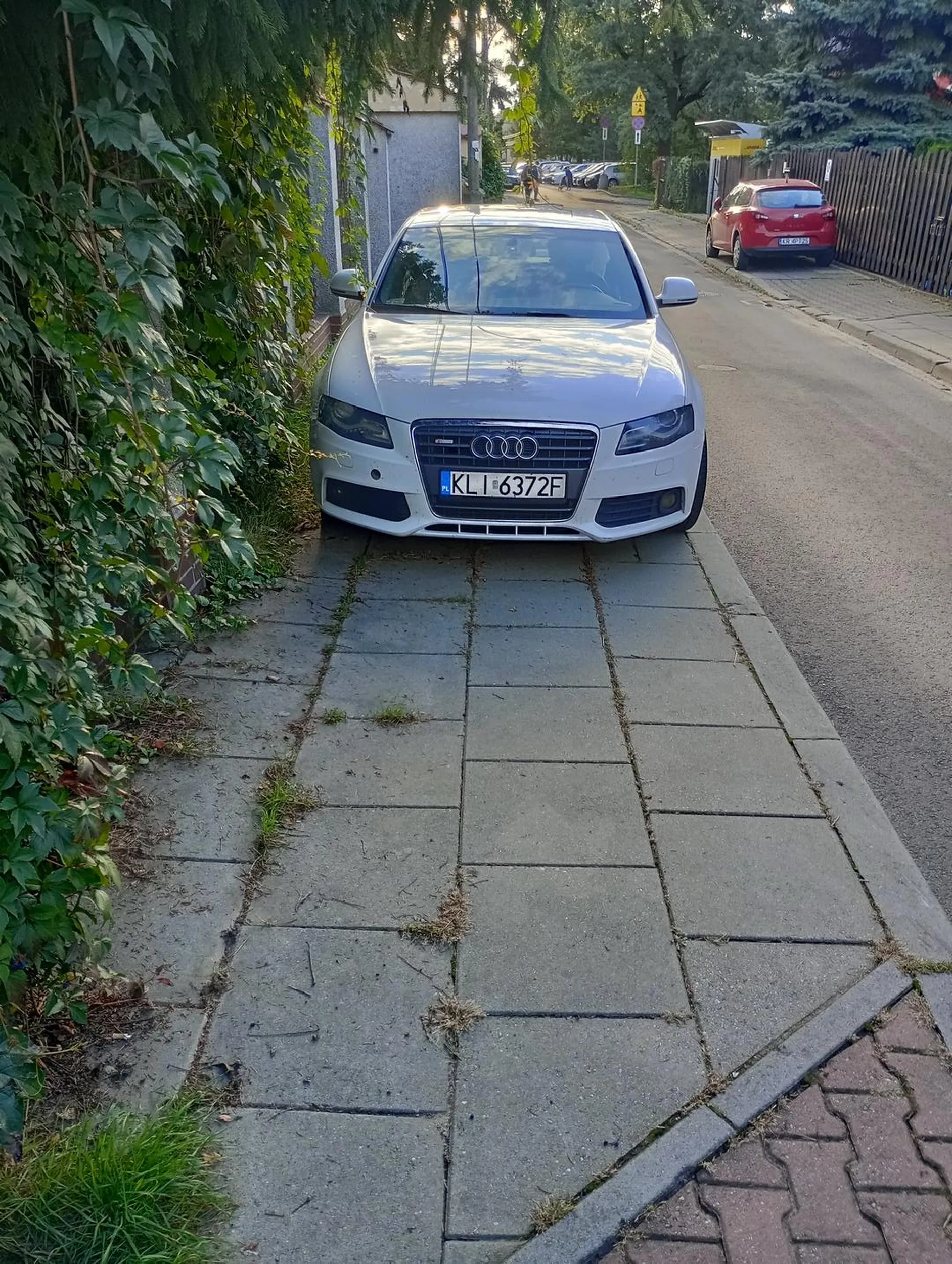 Chodnik jest dla fruwających pieszych.