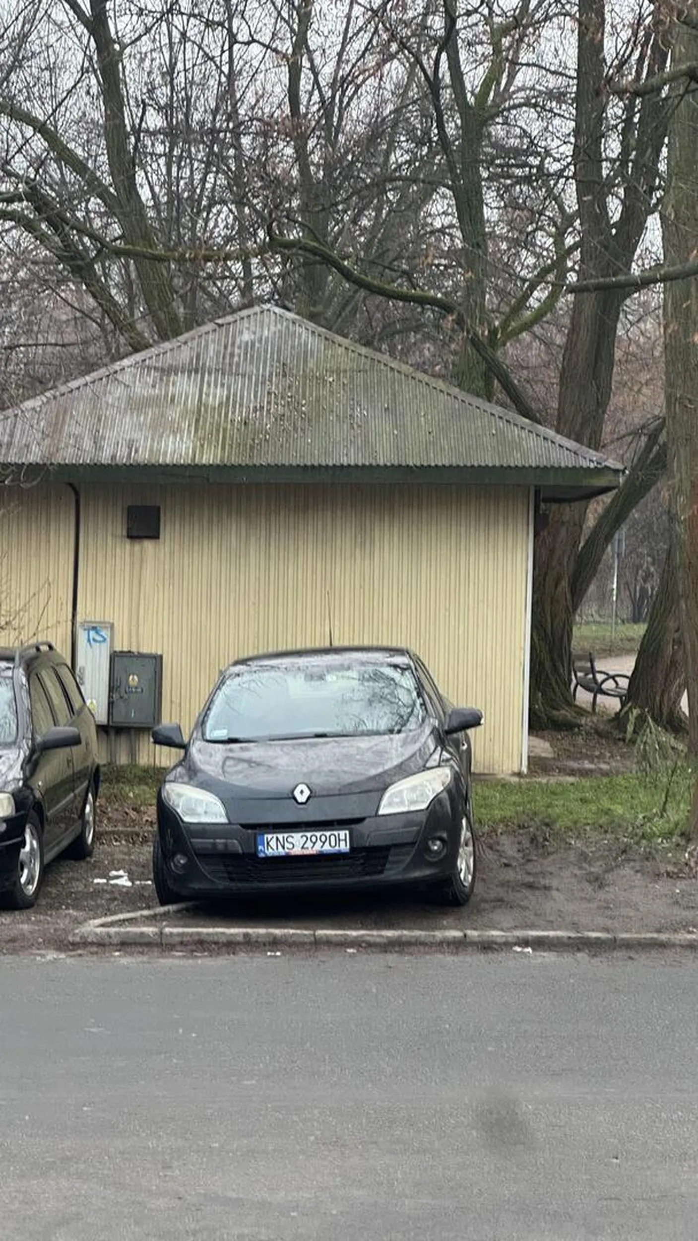 Parkowanie na zieleni, a może ciągnie świnkę do błota? Przy szpitalu do którego przyjechałeś masz parking.