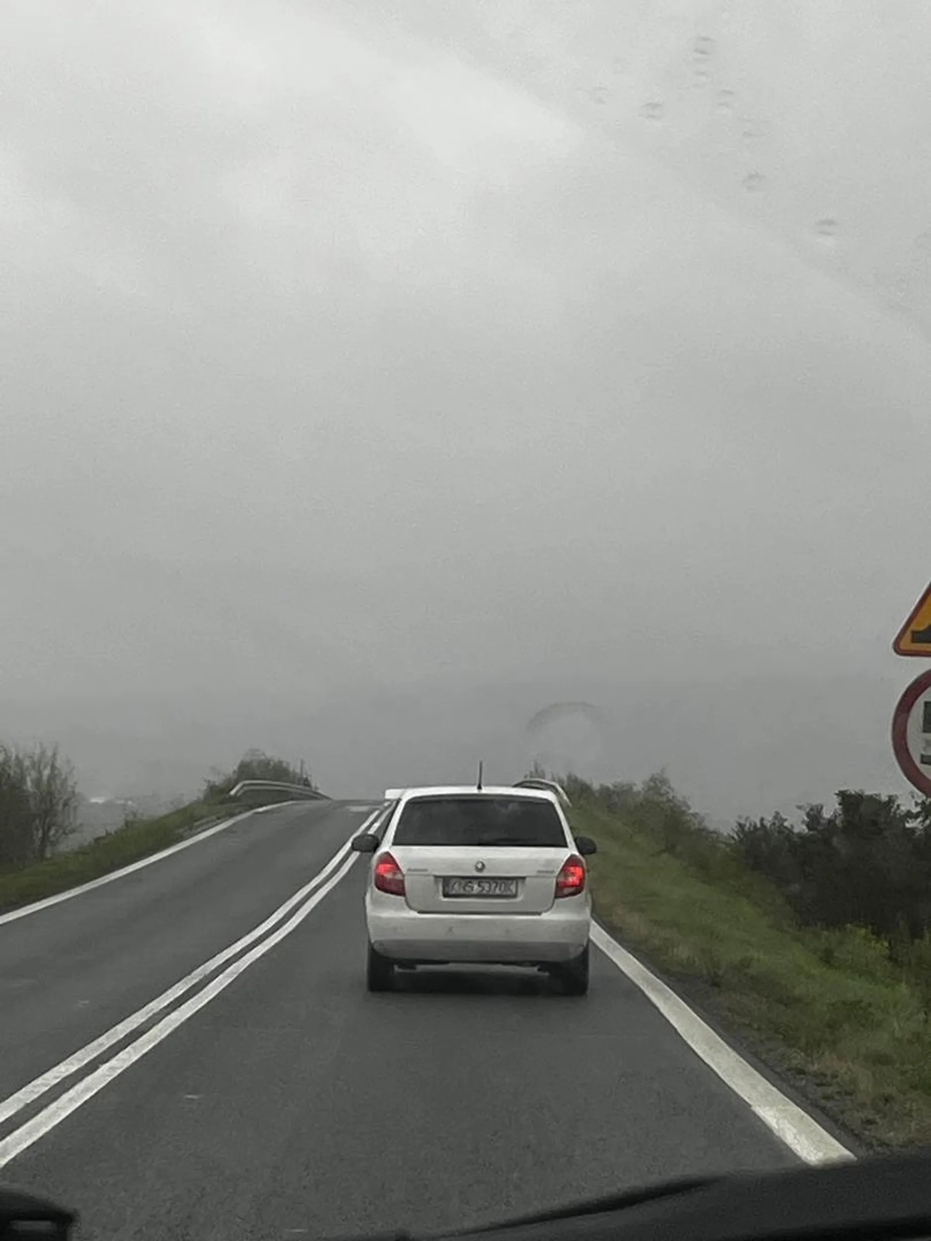 matoł potrącił ptaka nawet nie hamując, nie mówiąc już o sprawdzeniu co z nim