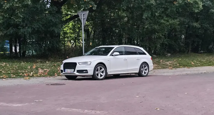 ciele parkuje na skrzyżowaniu