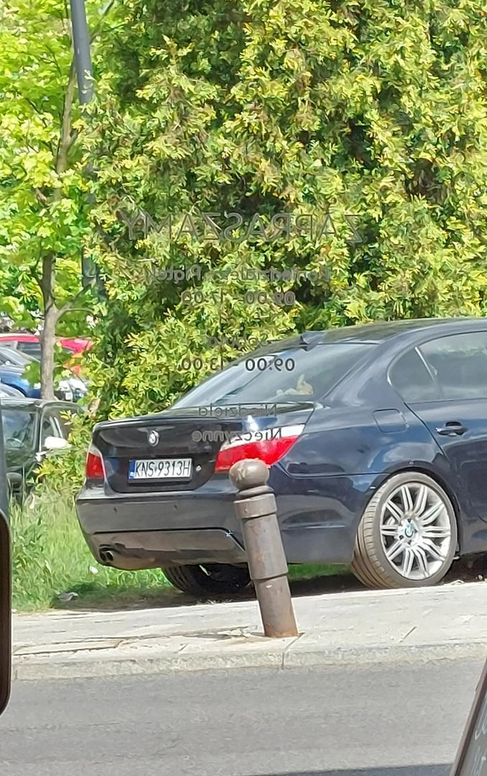 To że nie ma bliziutko miejsca parkingowego i nie chce się ruszyć dupy, nie oznacza, że można powiedzieć słupkami przejechać przez chodnik i stanąć na trawie xd