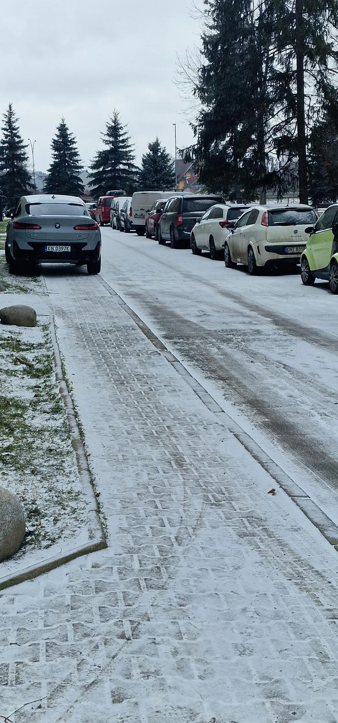 Prawdziwy mistrz parkowania