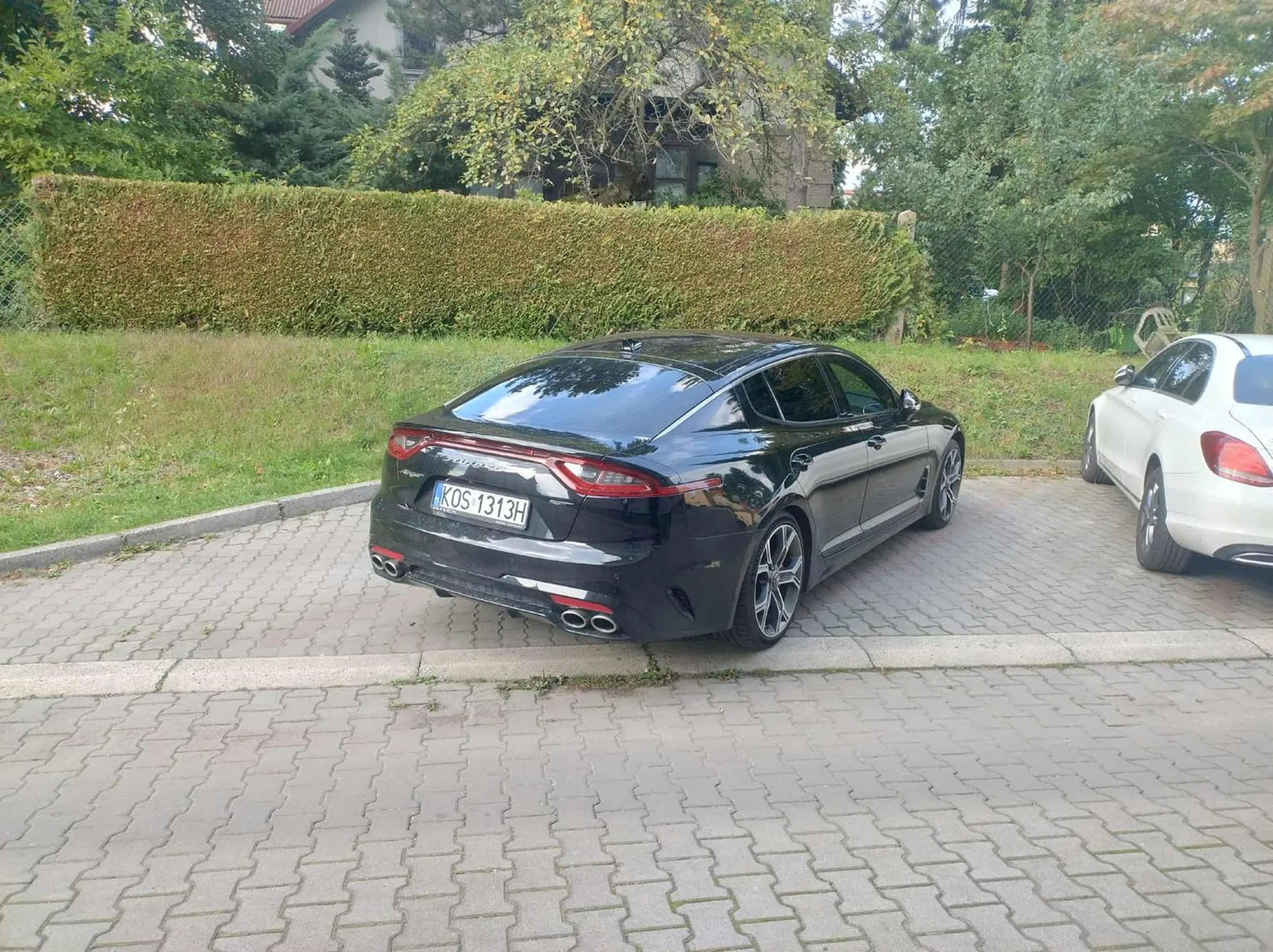 Naucz się parkować kondonie Następnym razem 3 miejsca zajmij