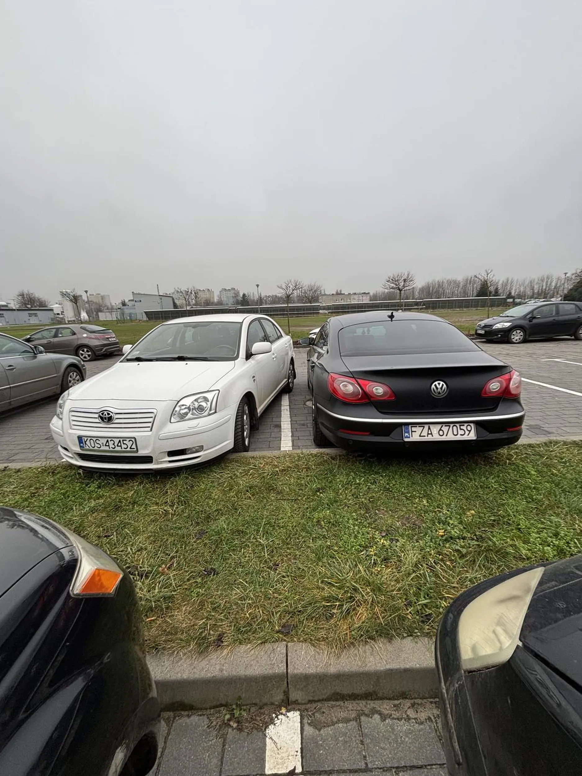 Zajebisty mistrz parkowania..