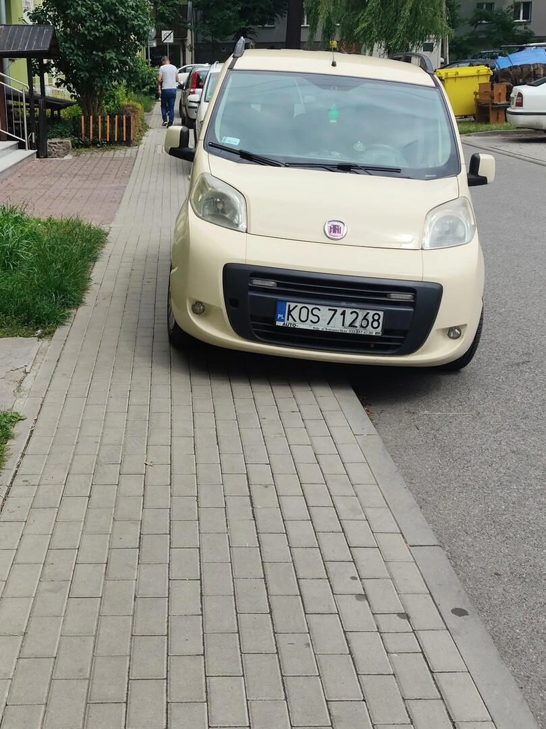 brak poszanowania pieszych!