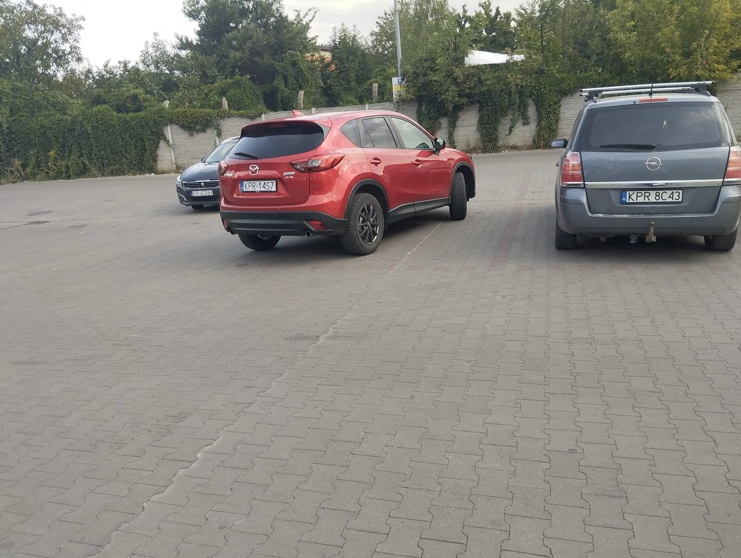 Pięknie zaparkowany