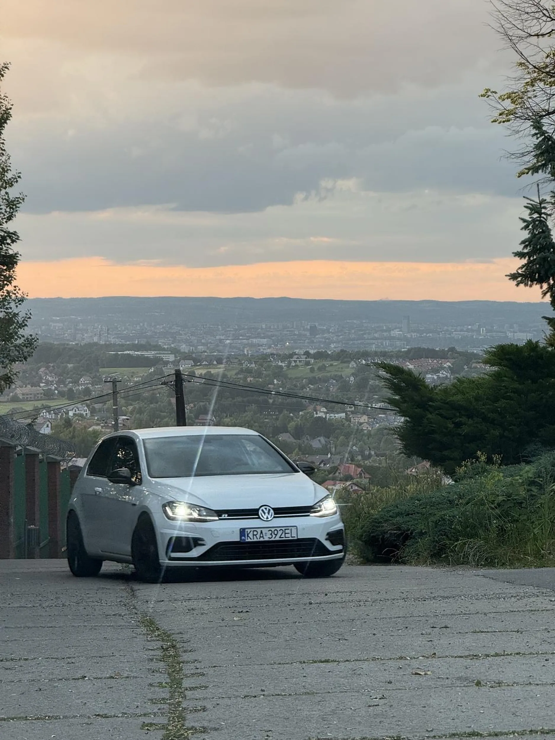 Zdjęcie dla Pana za darmo.