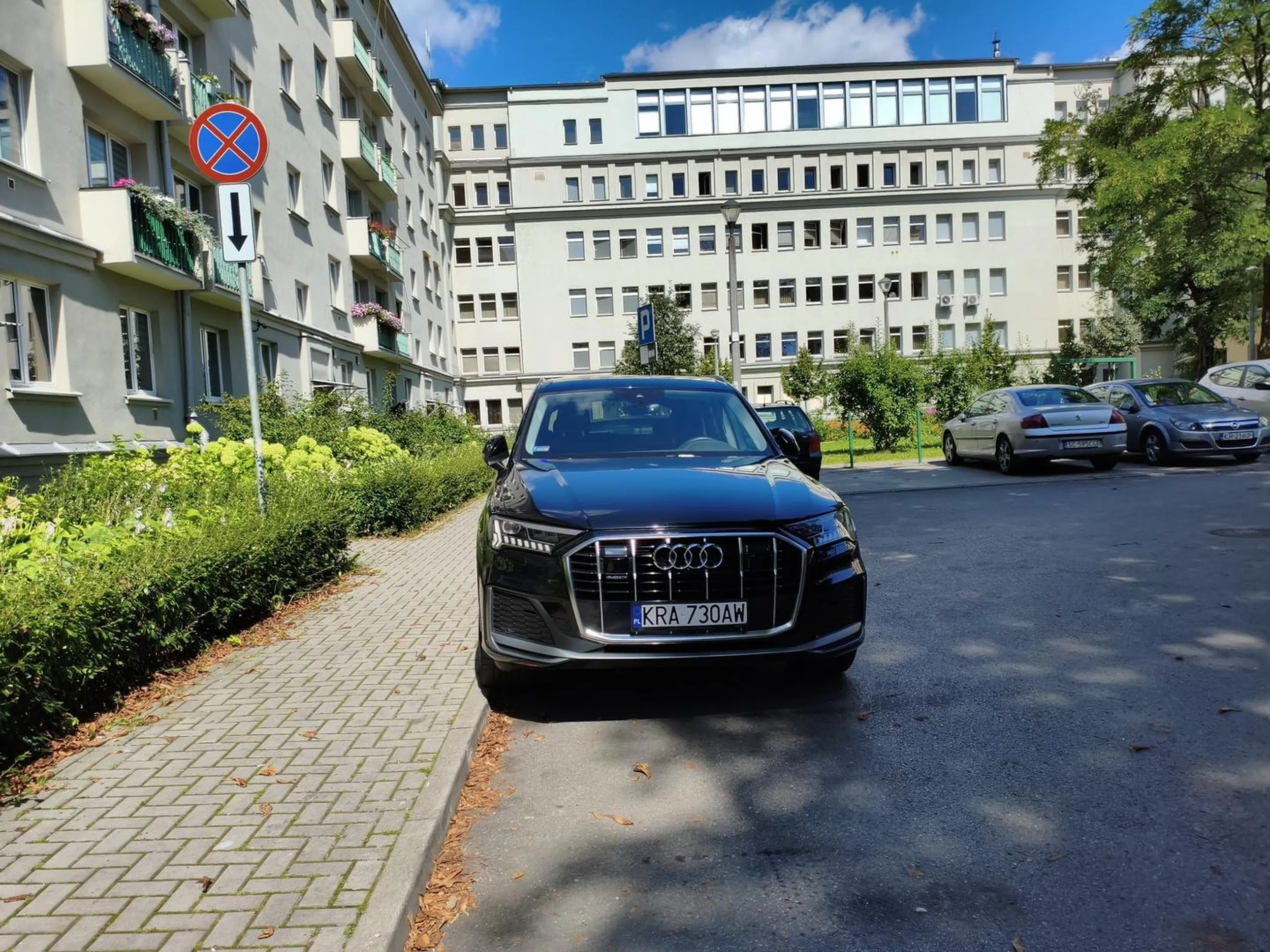 I kolejny z PJ z chipsów... Wjechał pod prąd na zakazie wjazdu w ulicę jednokierunkową, zaparkował na zakazie zatrzymywania i postoju...