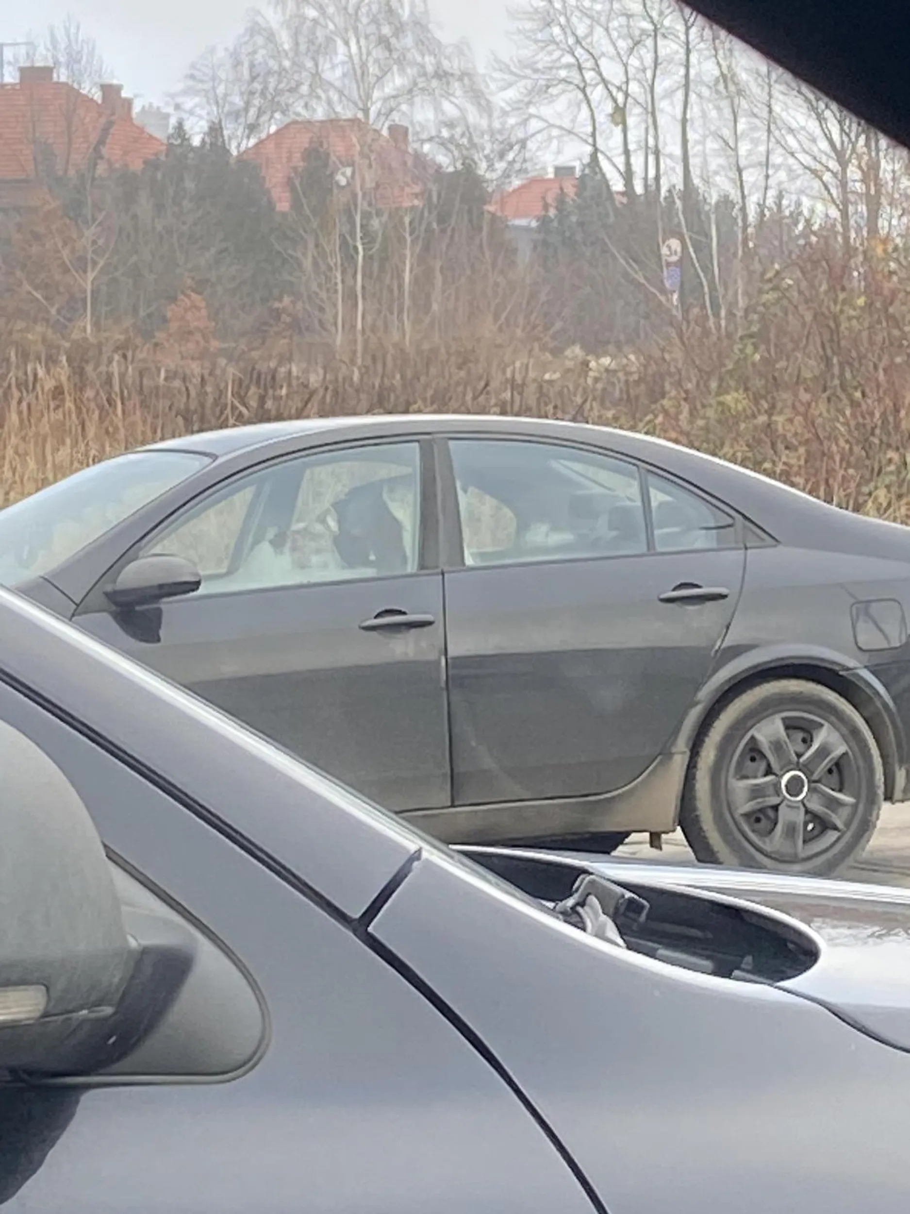 Zostawił psa w samochodzie i poszedł sobie na zakupki. Pies szczeka, skamle ale ważne że zakupy zrobione. Porażka.