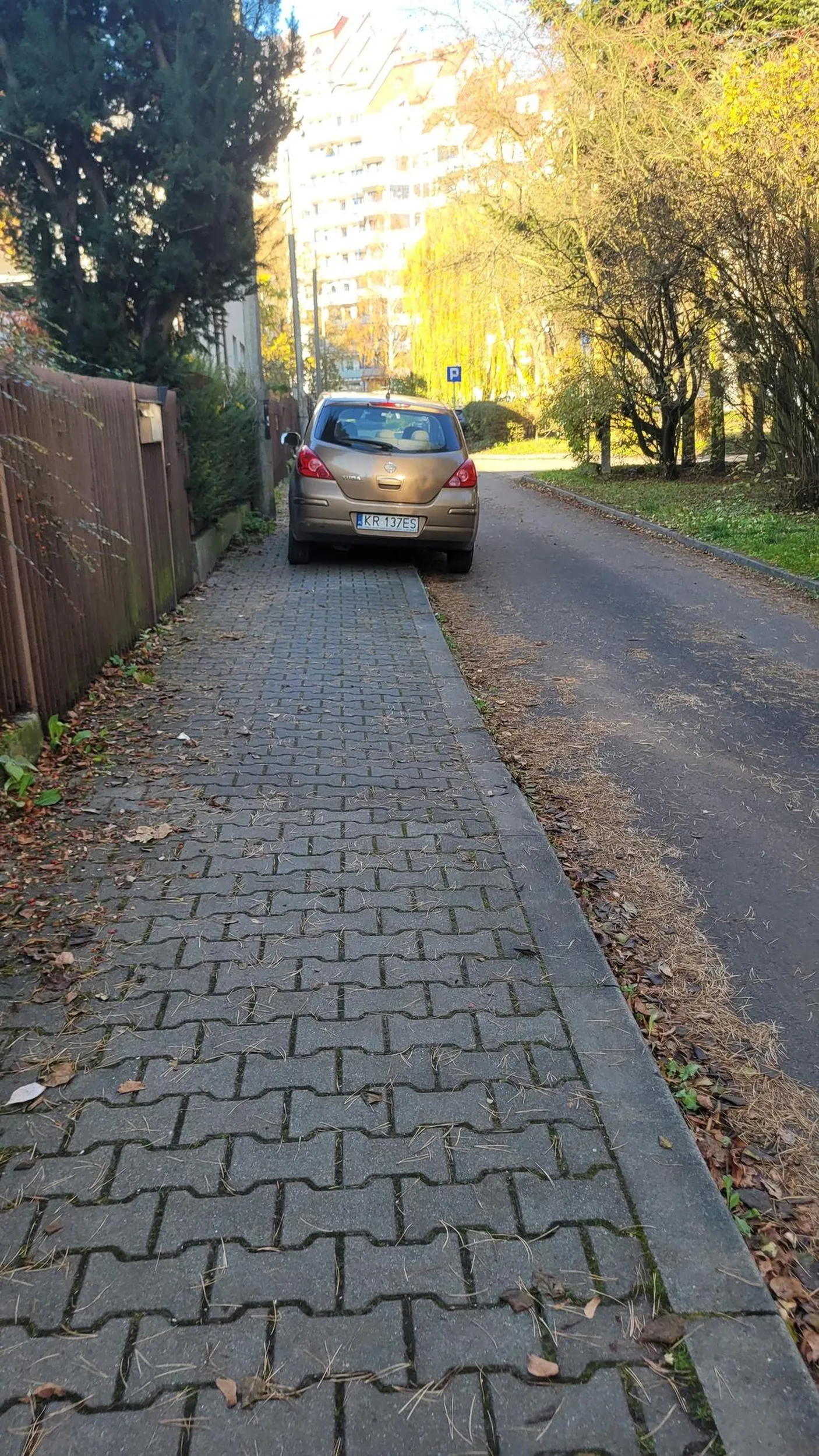 Bardziej na chodniku się nie dało? Parking jest kilkanaście metrów dalej..