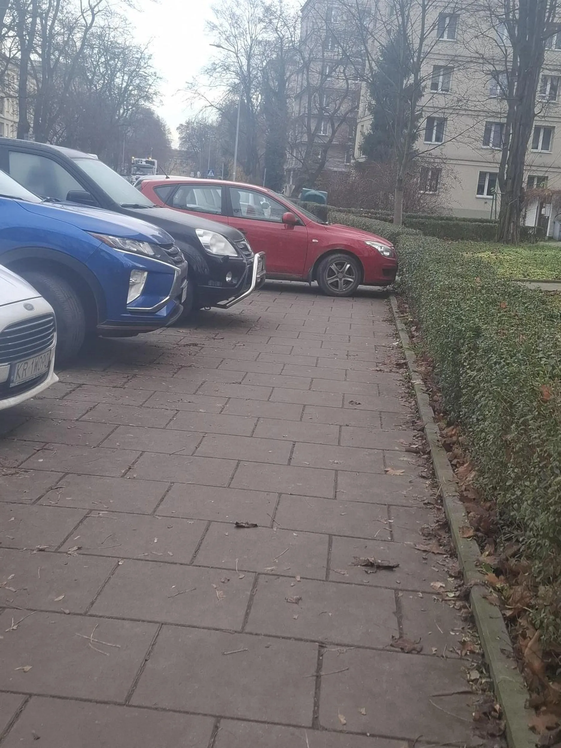 Mistrz kierownicy i mistrz parkowania